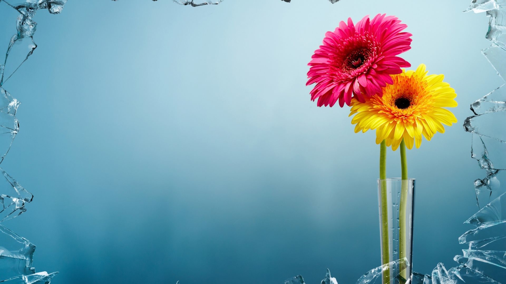 Windows Flowers Vase uhd wallpapers - Ultra High Definition Wallpapers ., sfondo Full HD per computer