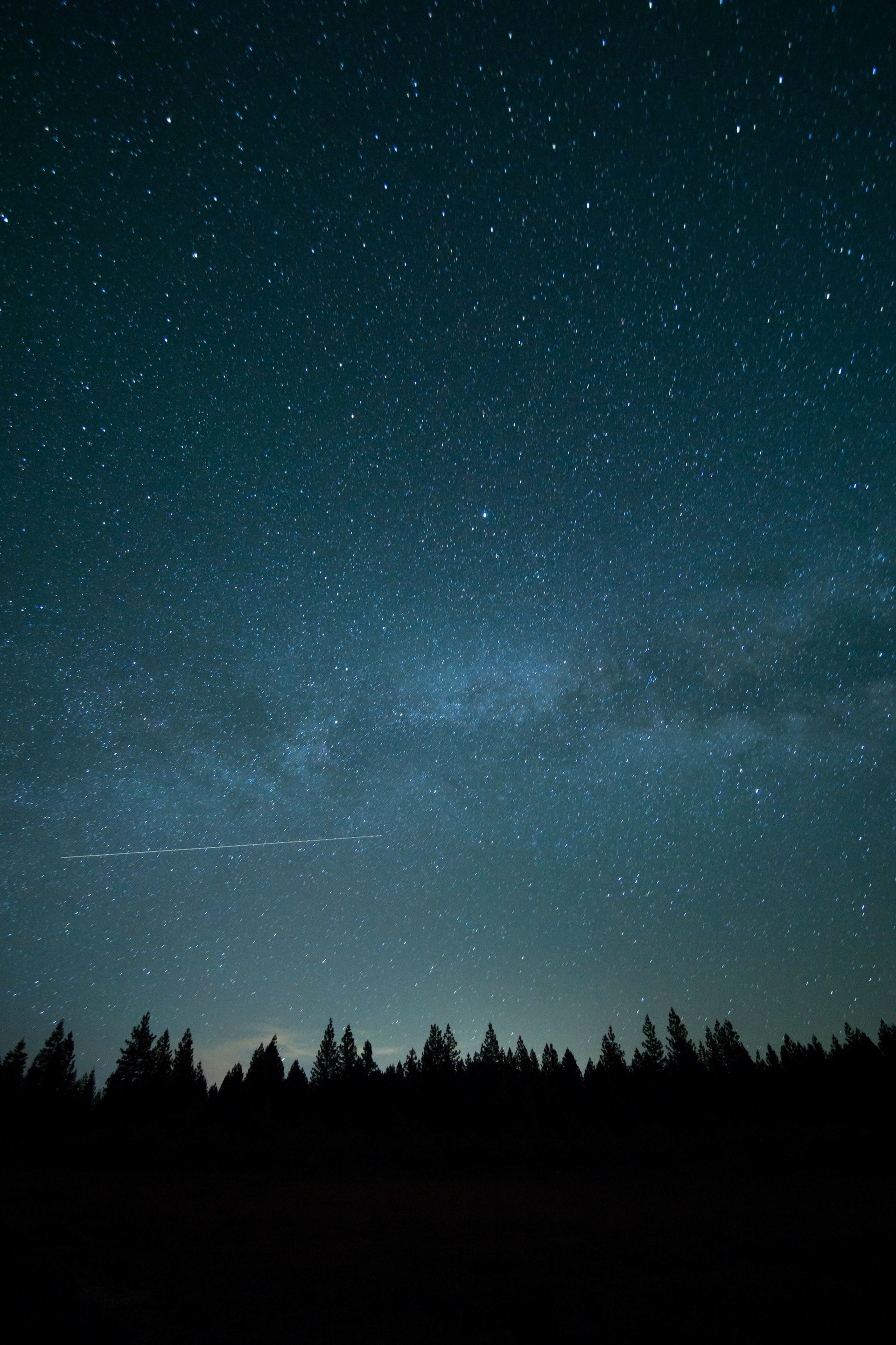 Cielo stellato, Foresta, Silhouette, wallpaper per iPhone e Android