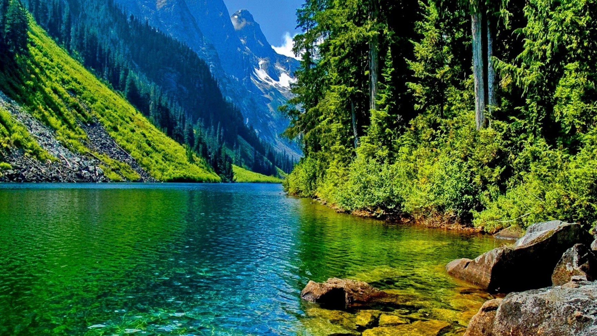 Lago di montagna, Montagne, Foresta, Acqua cristallina, 1920x1080, sfondo per PC