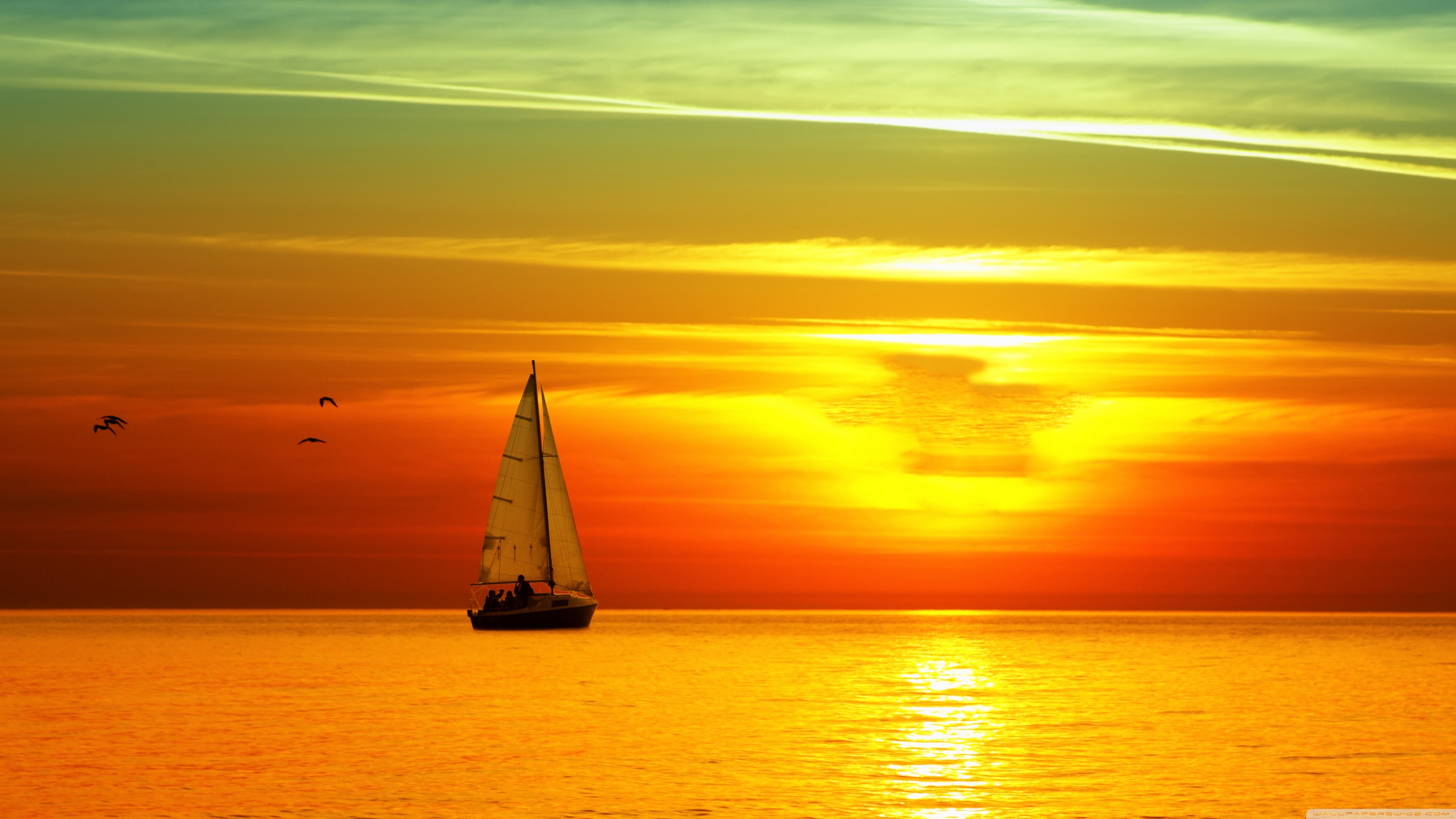 Barca a vela, Tramonto sul mare, Gabbiani, Giallo, 4K, sfondo per PC