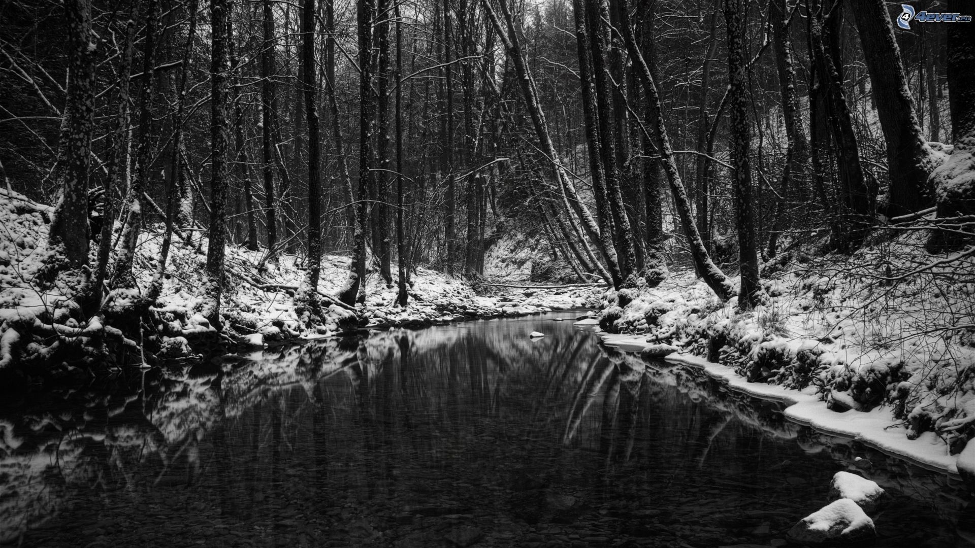 Bosco, Ruscello, Neve, Inverno, Riflesso, Full HD 1080p, sfondo desktop