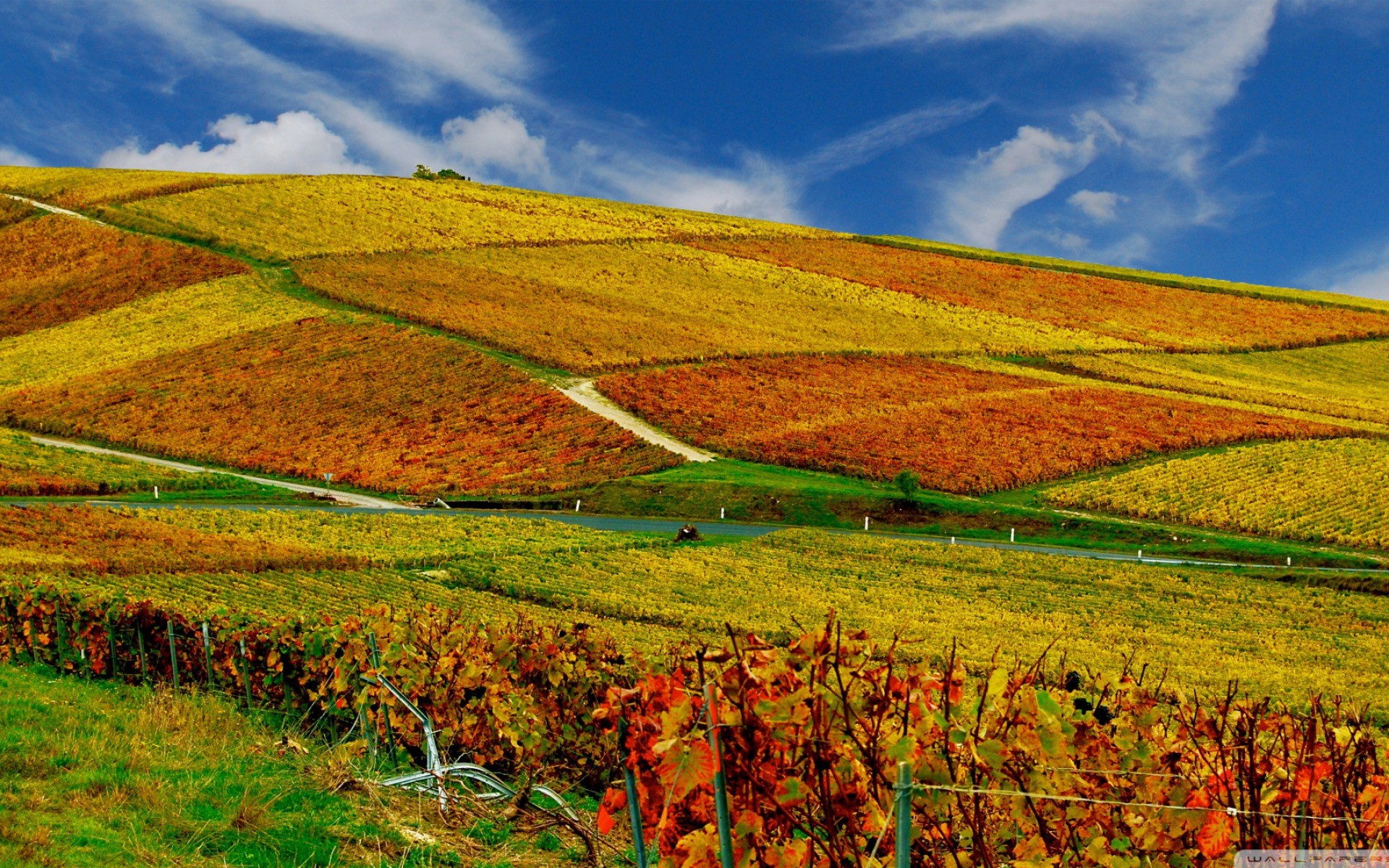 Vigneti, Colline, Autunno, Cielo blu, 1920x1200, sfondo MacBook Pro