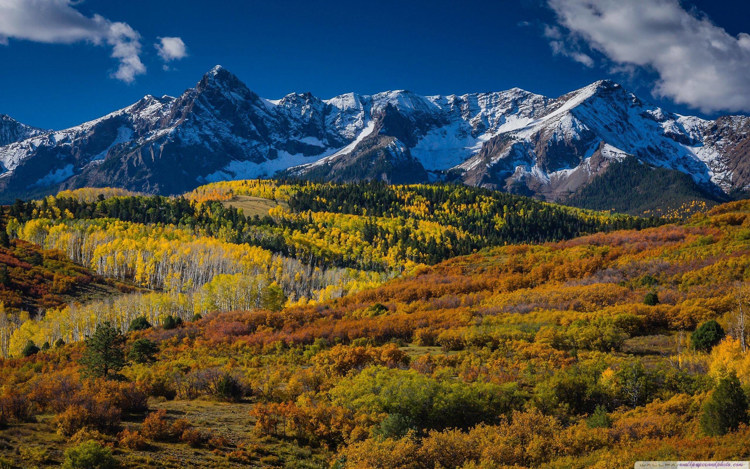 Montagne Rocciose, Colorado, Autunno, Montagne innevate, Foresta, sfondo desktop 2560x1600