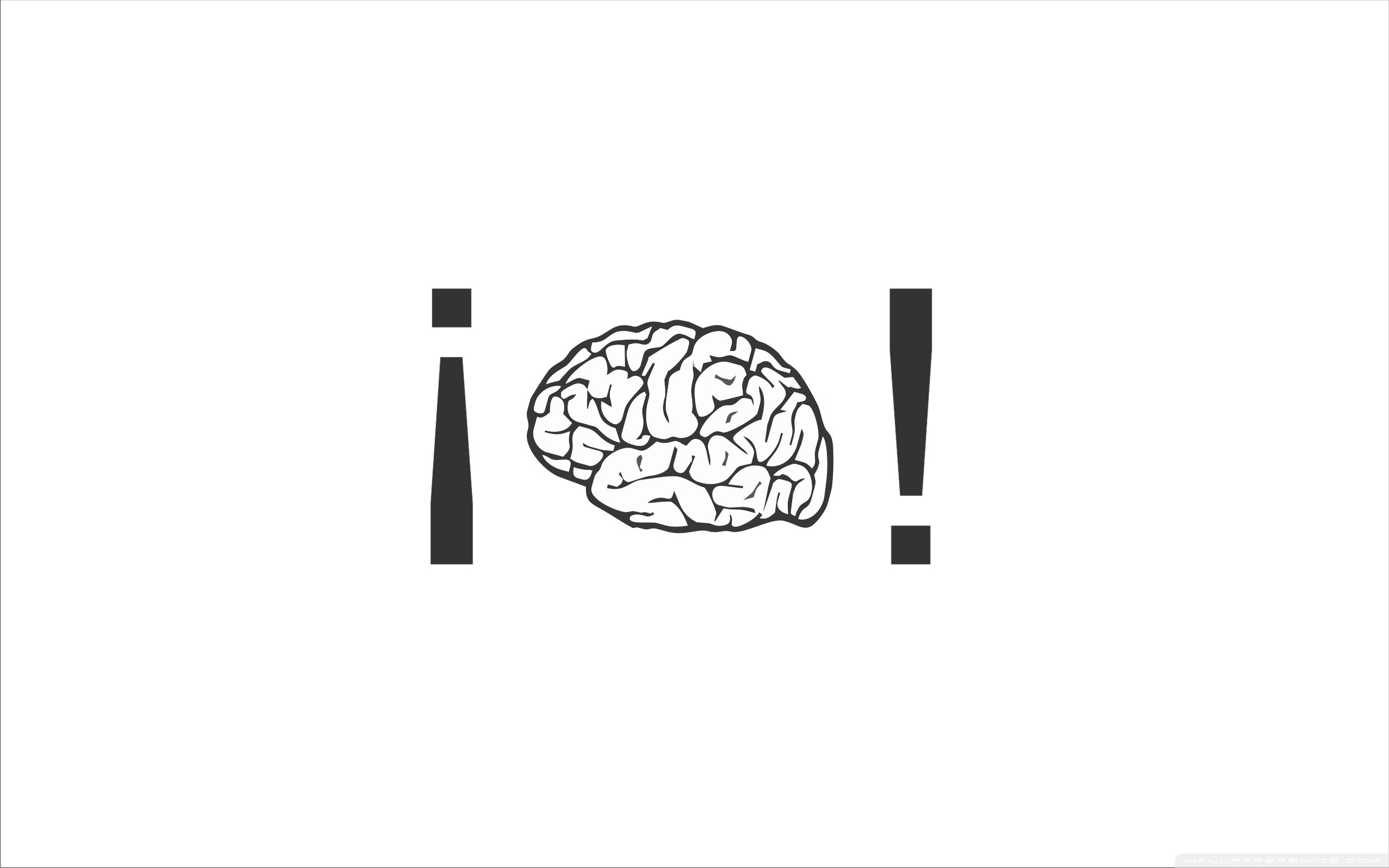 Cervello, Punti esclamativi, Minimalismo, Sfondo bianco, 2K, wallpaper per PC