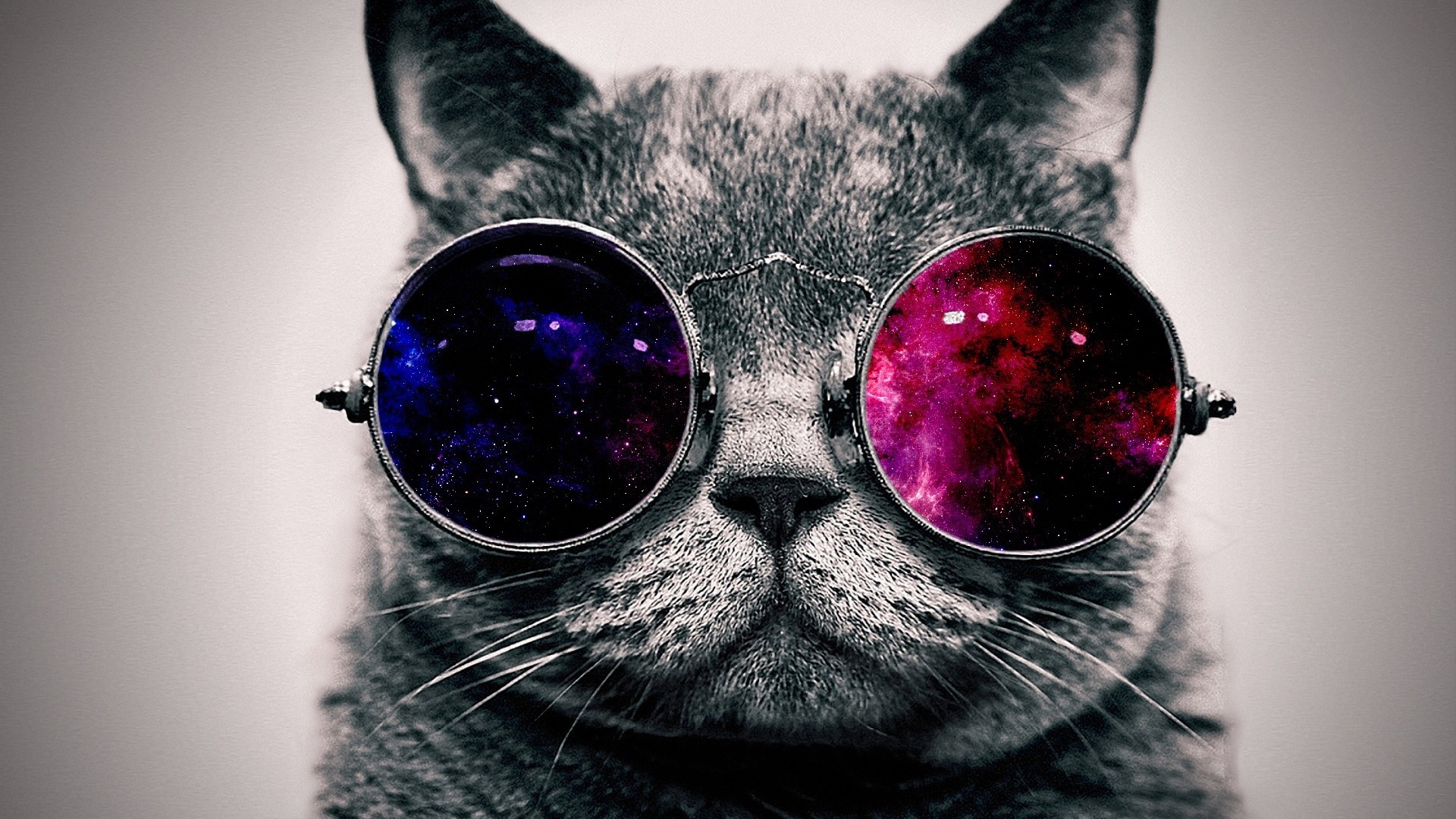 Gatto, Occhiali da sole, Galassia, Bianco e nero, Full HD, sfondo Windows 11