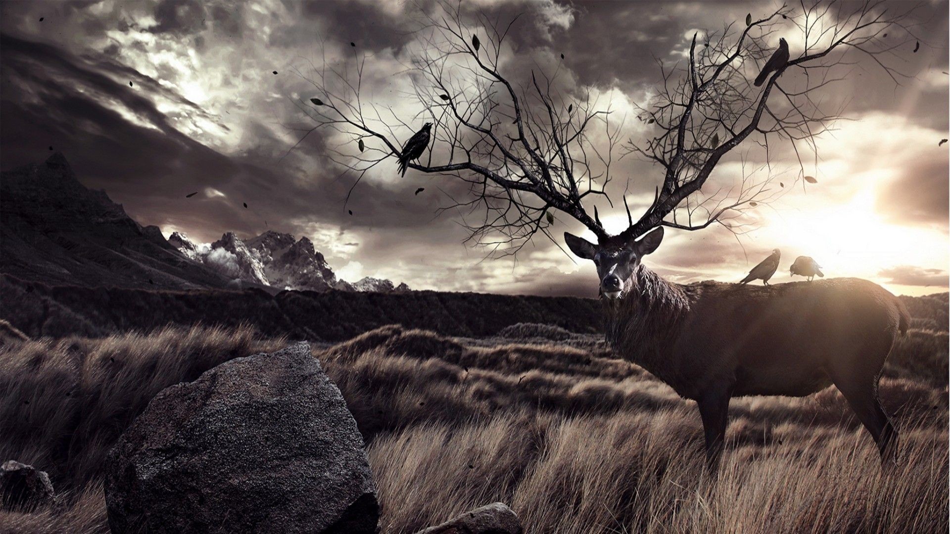 Cervo, Palchi ad albero, Corvi, Arte surreale, Cielo tempestoso, wallpaper 1920x1080