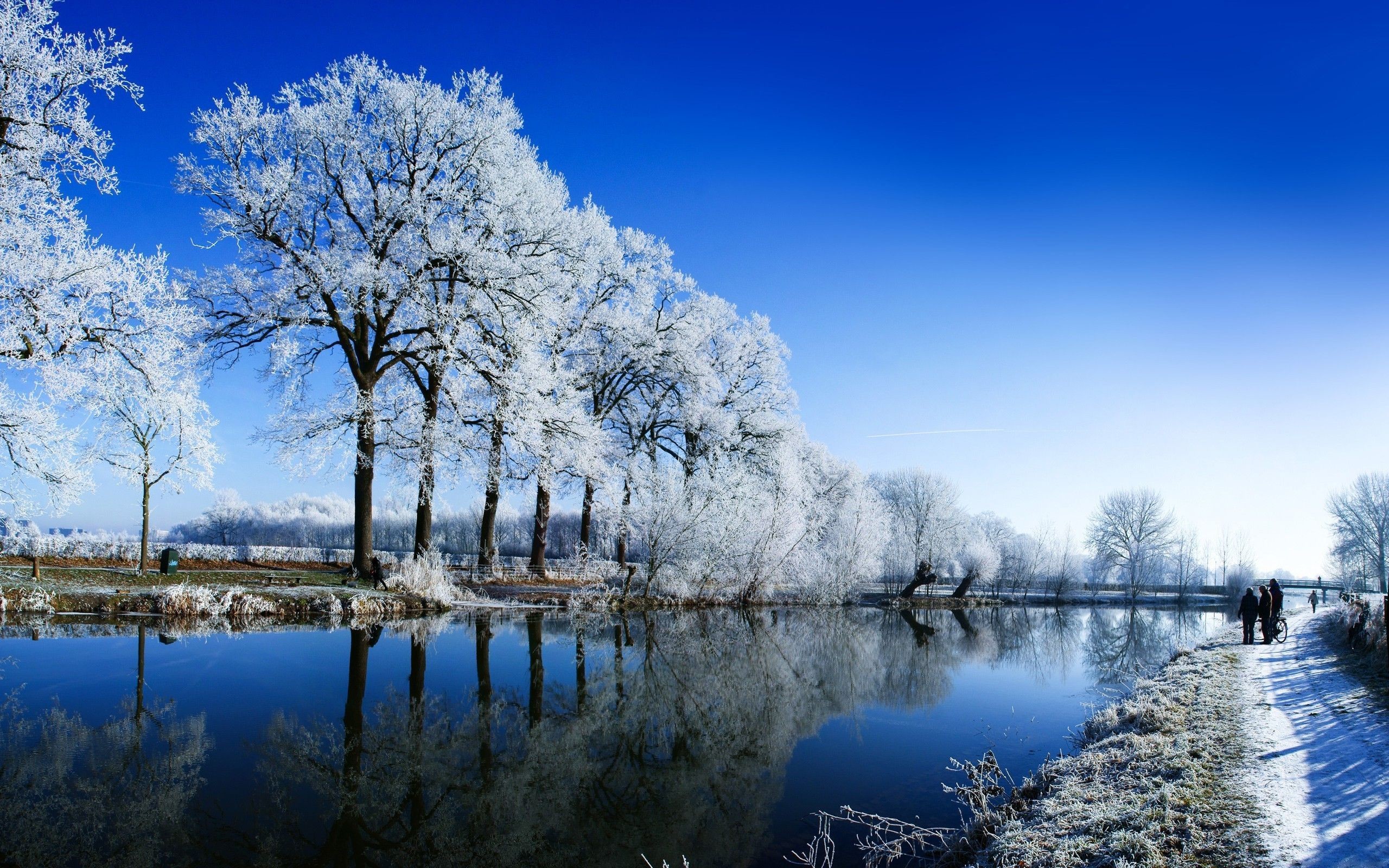 Inverno, Alberi innevati, Brina, Lago, Cielo blu, 2K, sfondo per PC e portatile