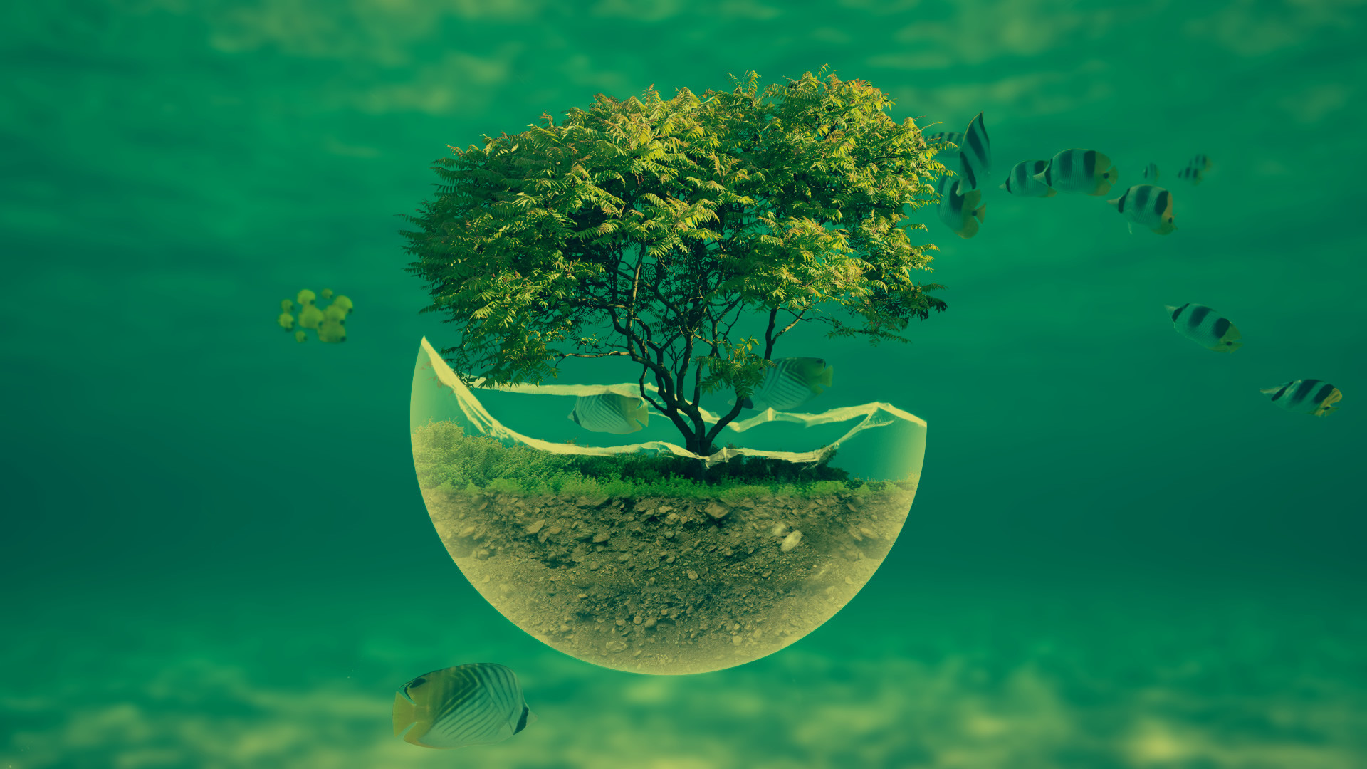 Albero, Sfera di vetro, Sott'acqua, Pesci, Verde, Full HD, sfondo per PC