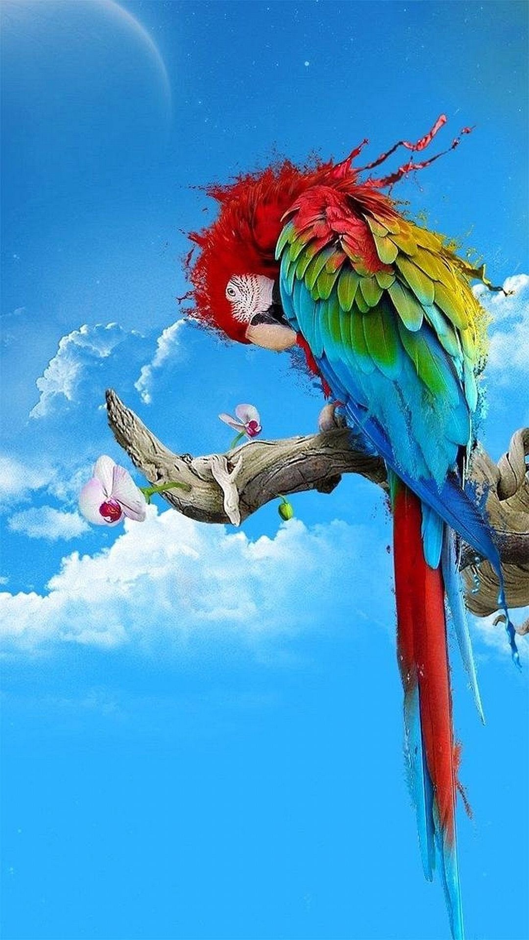 Pappagallo, Ara, Cielo azzurro, Nuvole, Full HD, sfondo per smartphone
