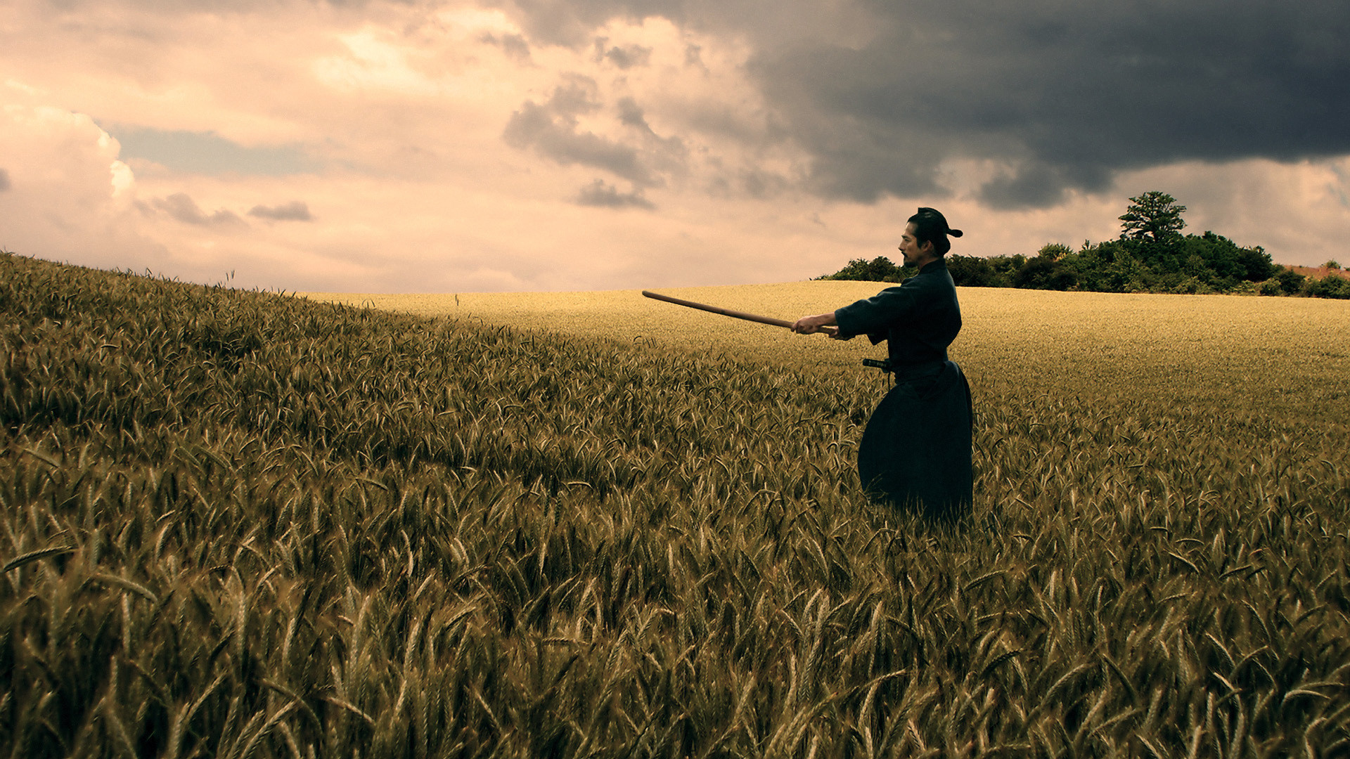 Samurai, Campo di grano, Katana, Tramonto, Full HD, sfondo per portatile