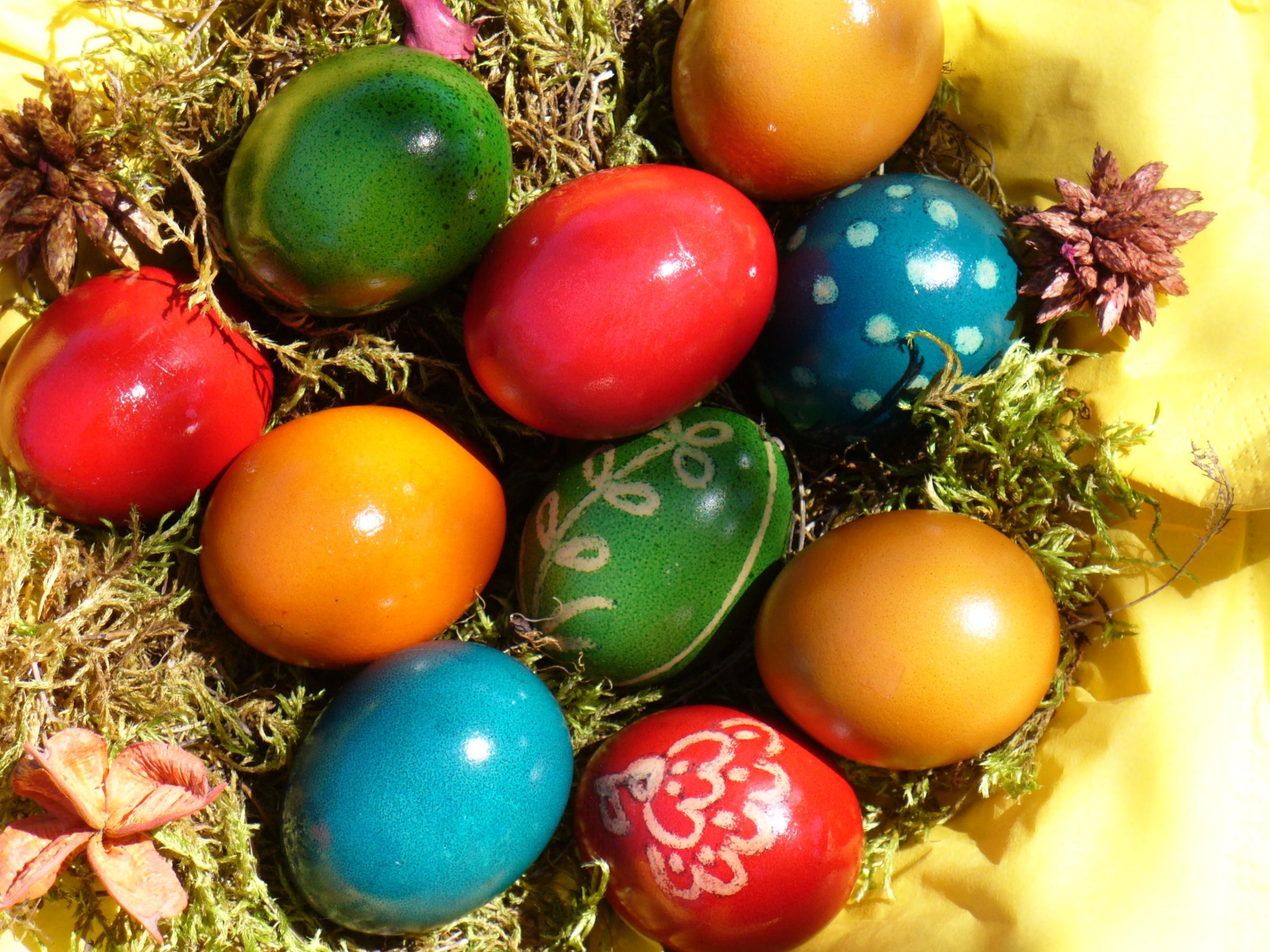 Uova di Pasqua, Uova dipinte, Nido, Multicolore, Full HD, sfondo per iPad e tablet