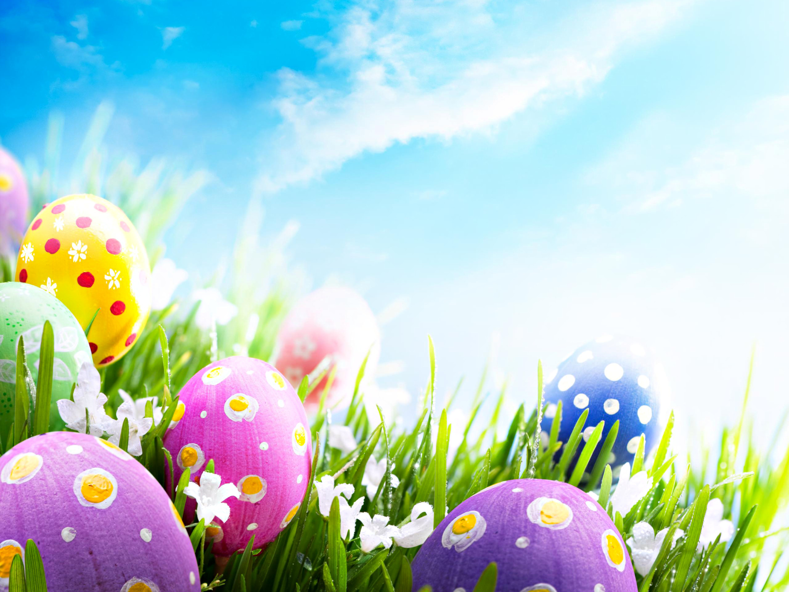 Uova di Pasqua, Uova a pois, Prato, Cielo azzurro, Primavera, 2K, schermata di blocco iPad