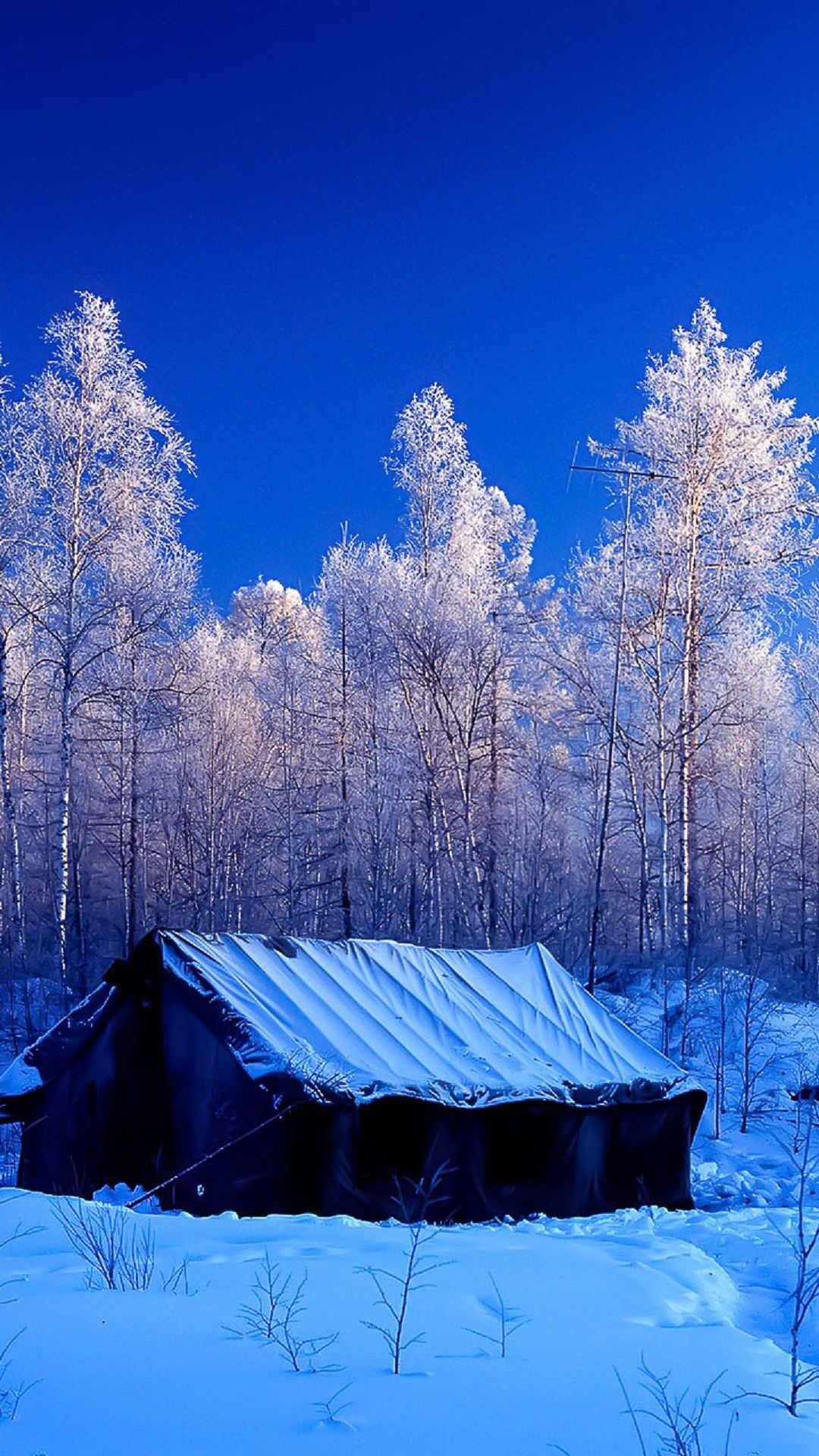 Snow Forest Tent Winter Nature Android Wallpaper, Full HD, sfondo verticale per cellulare