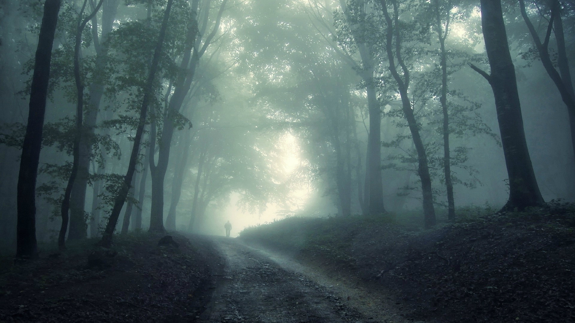 Sentiero nel bosco, Nebbia, Figura solitaria, Full HD 1080p, sfondo desktop