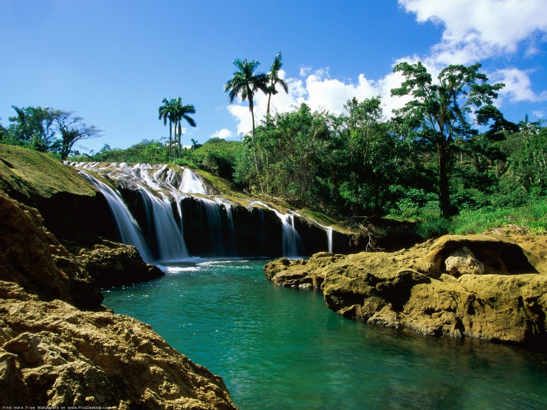Cascata, Fiume, Palme, Tropici, Full HD, sfondo per iPad e tablet