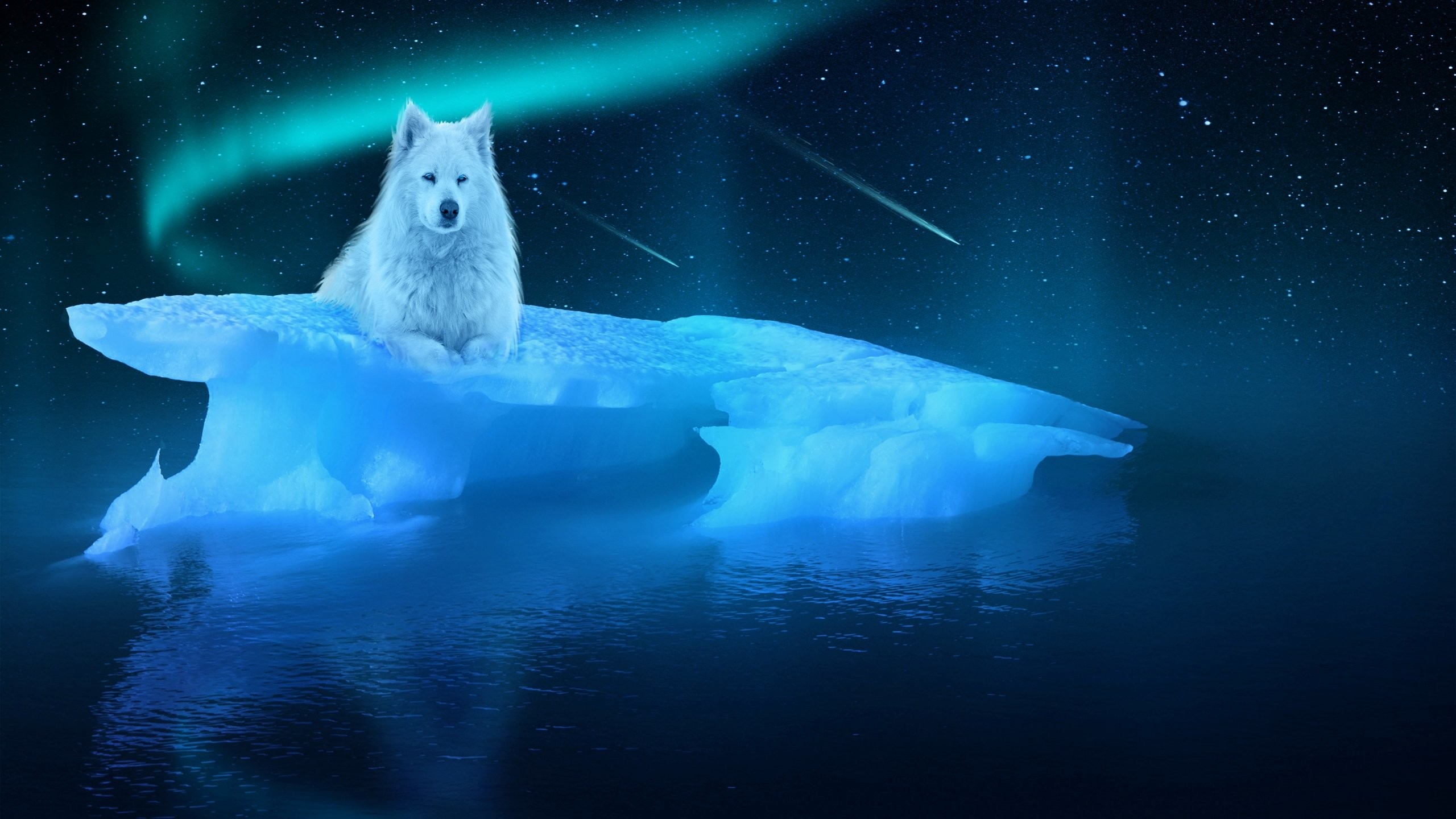 Lupo bianco, Iceberg, Aurora boreale, Notte, Fantasy, 16:9 2K, sfondo widescreen