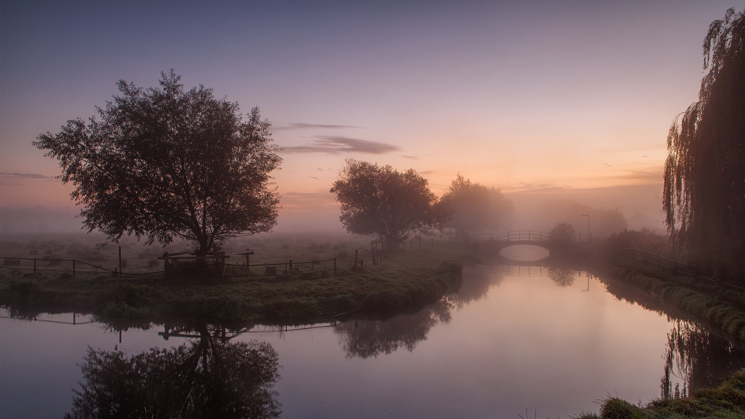 Fiume, Alberi, Nebbia, Alba, Riflesso, 2K, sfondo per portatile