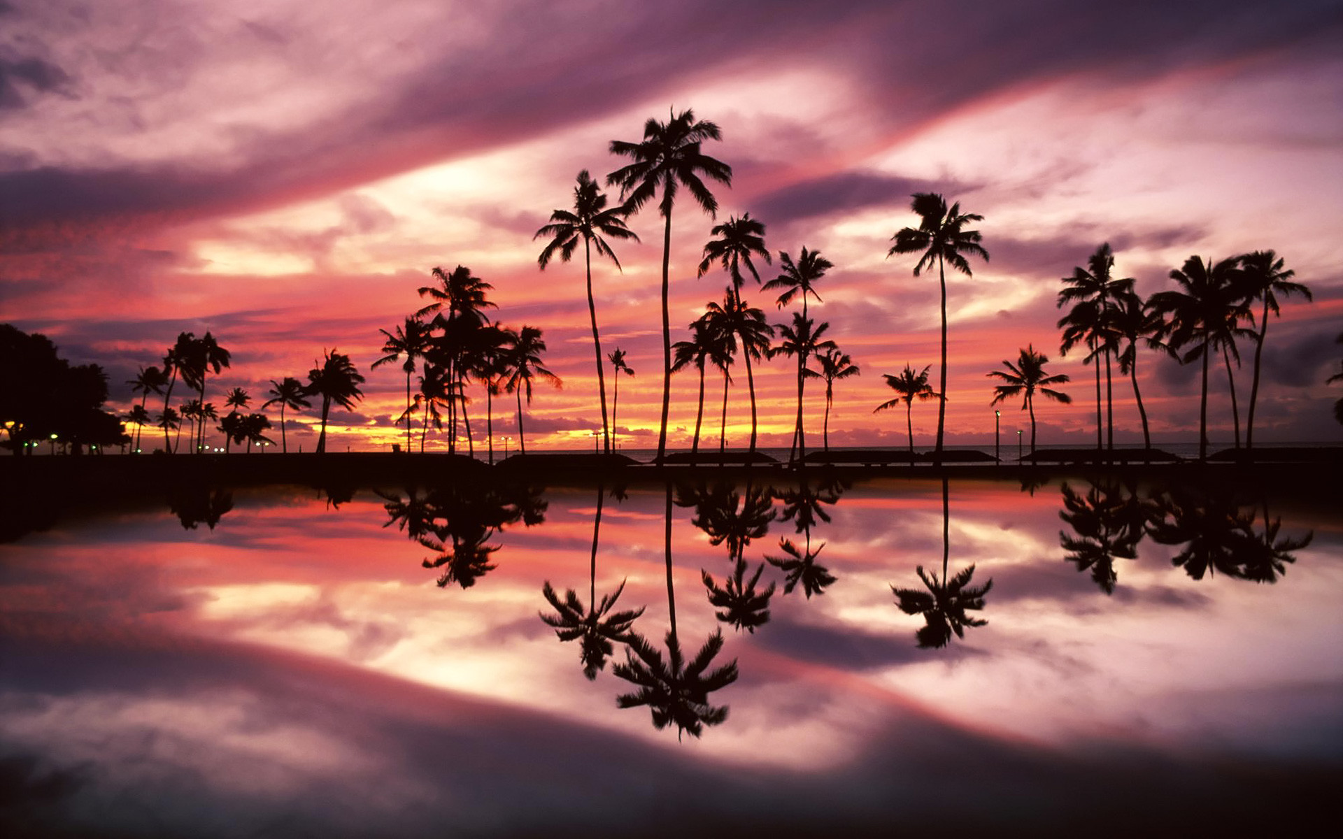 Hawaii, Palme, Tramonto rosa, Riflesso, Silhouette, 16:10 Full HD, sfondo widescreen
