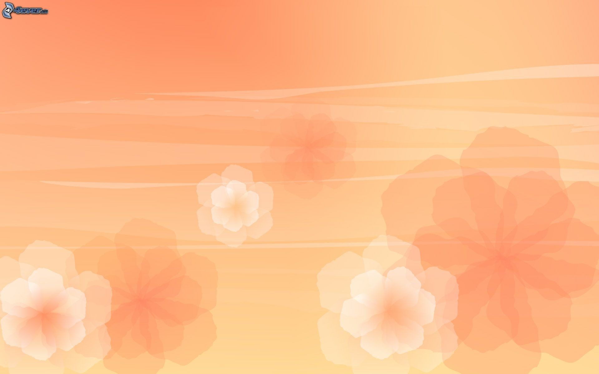Fiori, Pesca, Pastello, Full HD, sfondo per portatile