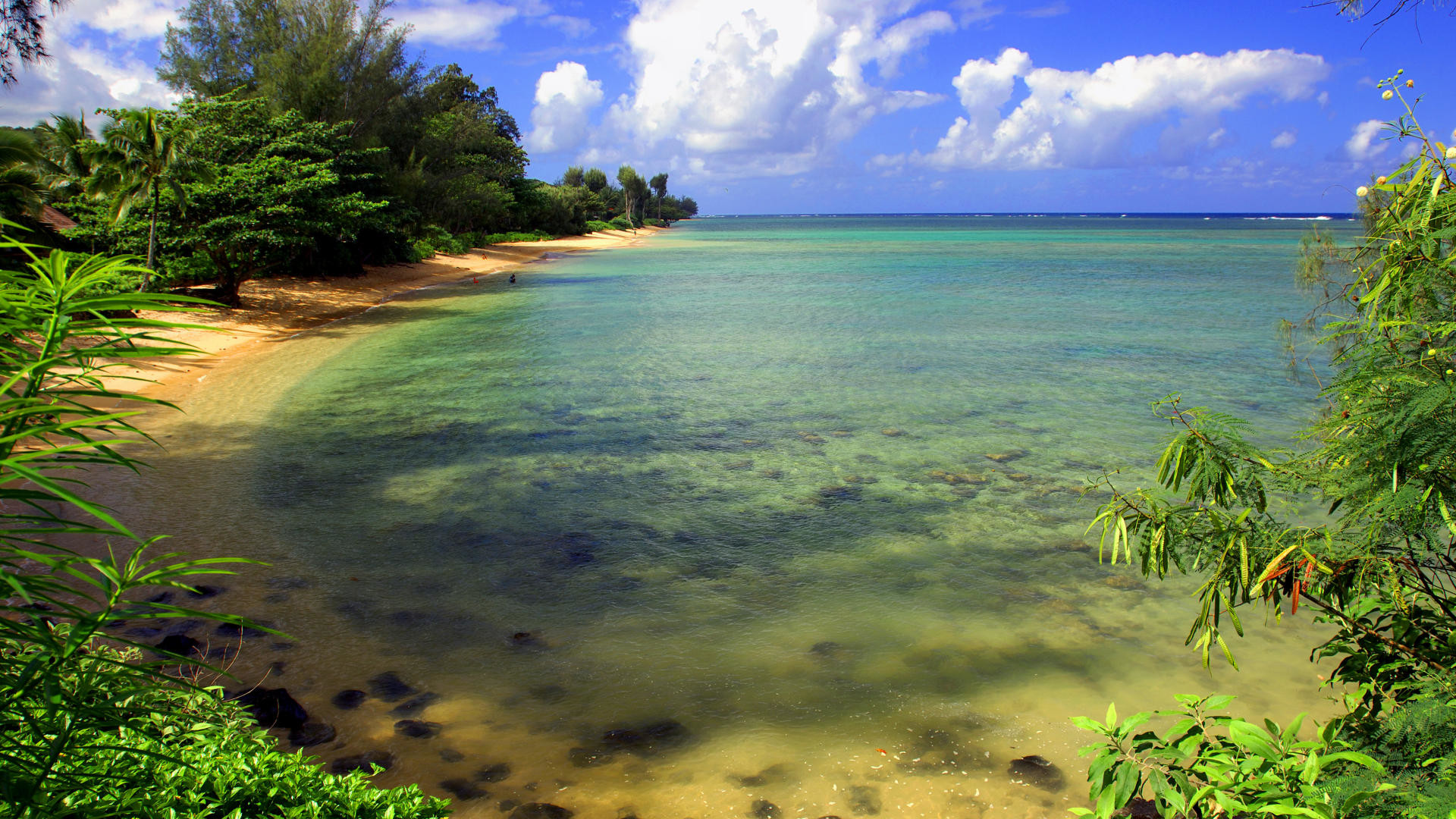 Spiaggia tropicale, Laguna, Palme, Cielo, Full HD, sfondo per desktop