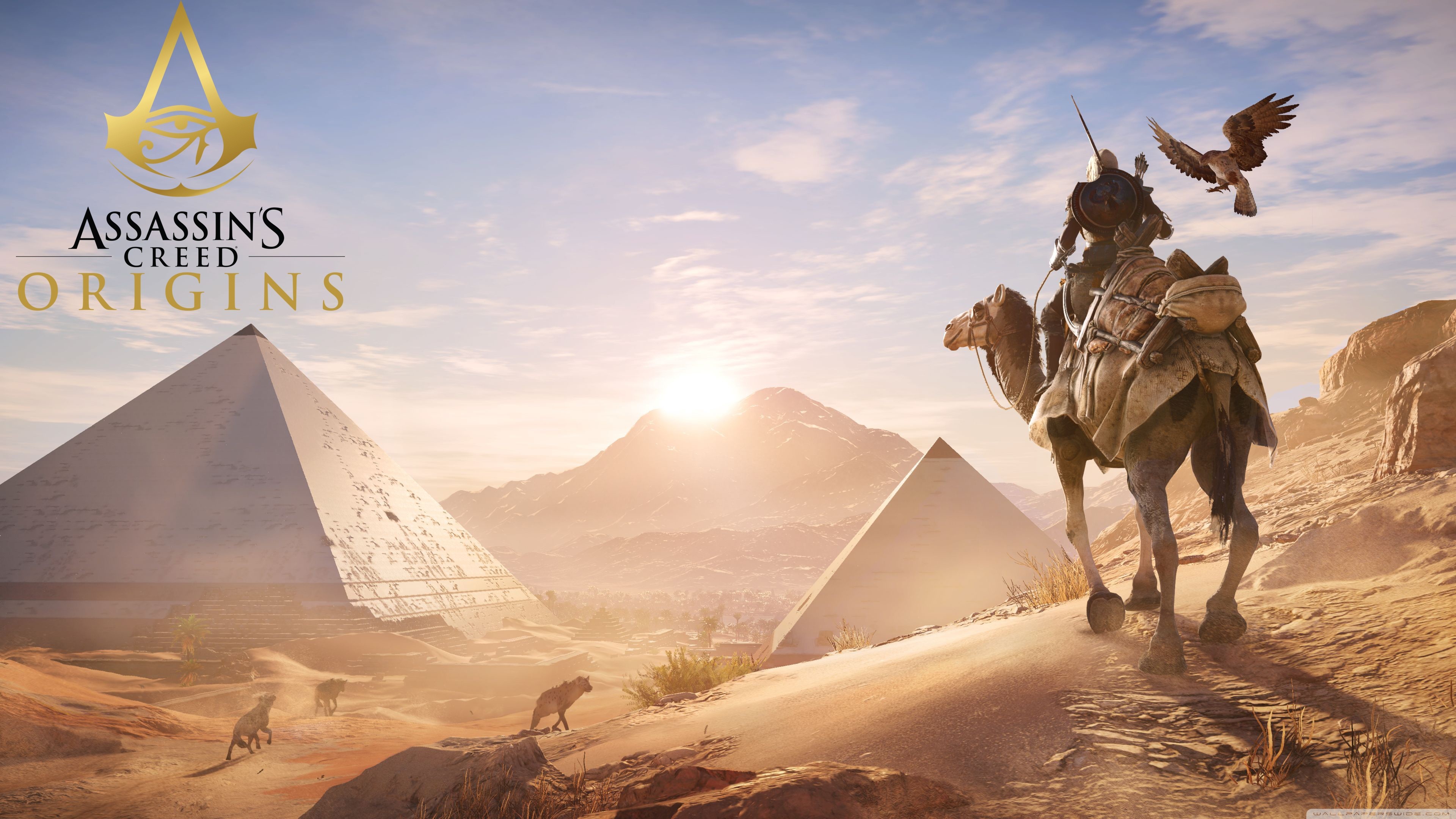 Bayek, Assassin's Creed Origins, Piramidi di Giza, Egitto, Cammello, Aquila, Deserto, sfondo Ultra HD