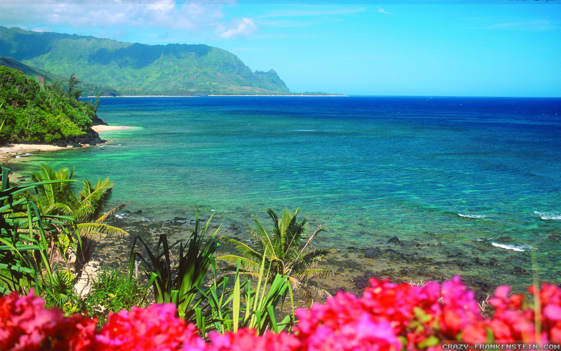 Kauai, Hawaii, Costa, Fiori rosa, Mare turchese, 1920x1200, sfondo per PC