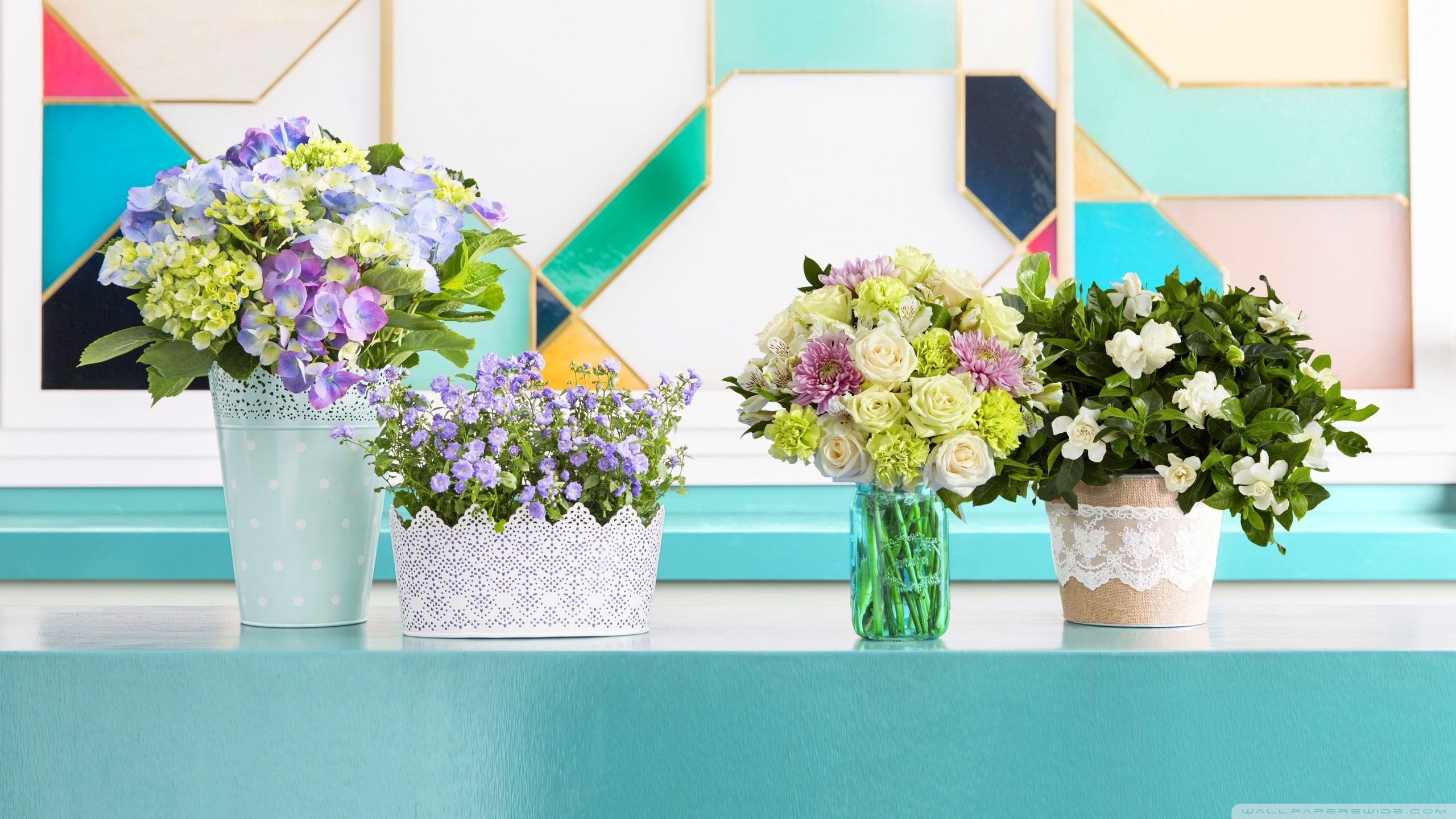 Fiori, Ortensie, Vasi, Turchese, 2K, sfondo desktop