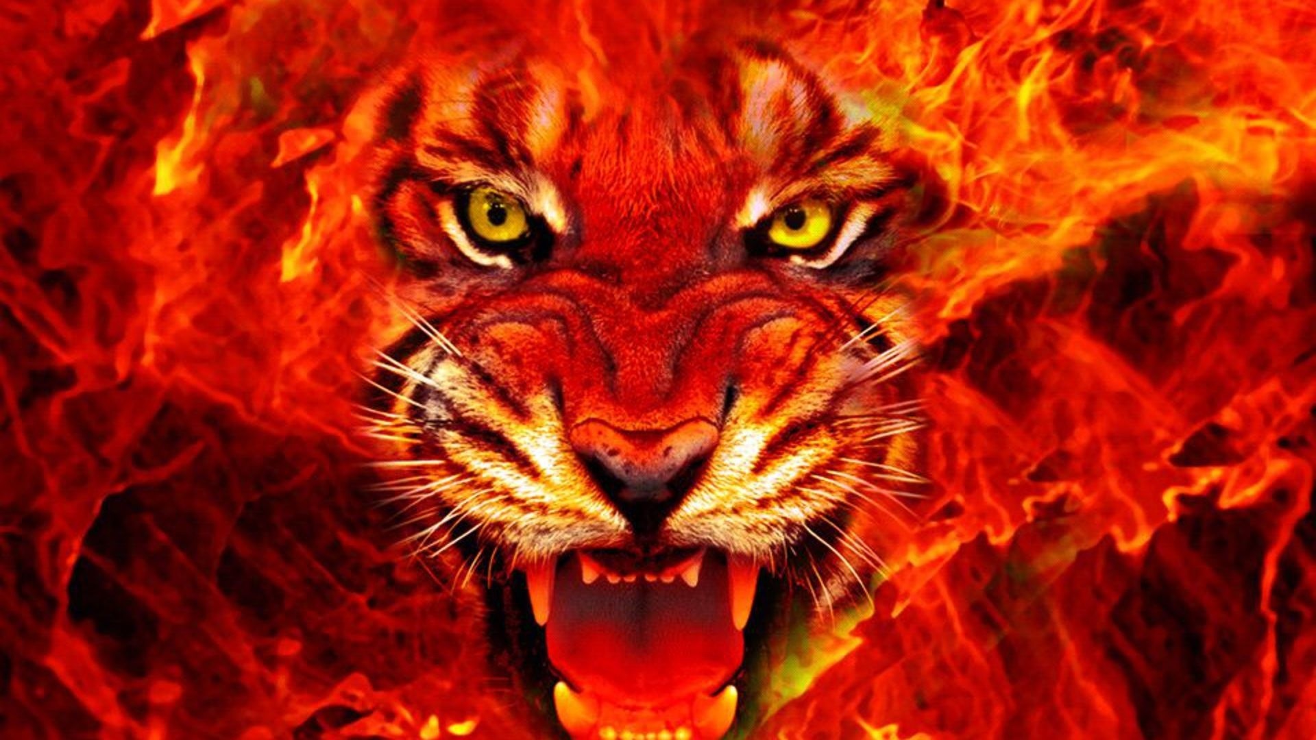 Tigre, Tigre di fuoco, Fiamme, Ruggito, 16:9 Full HD, sfondo widescreen