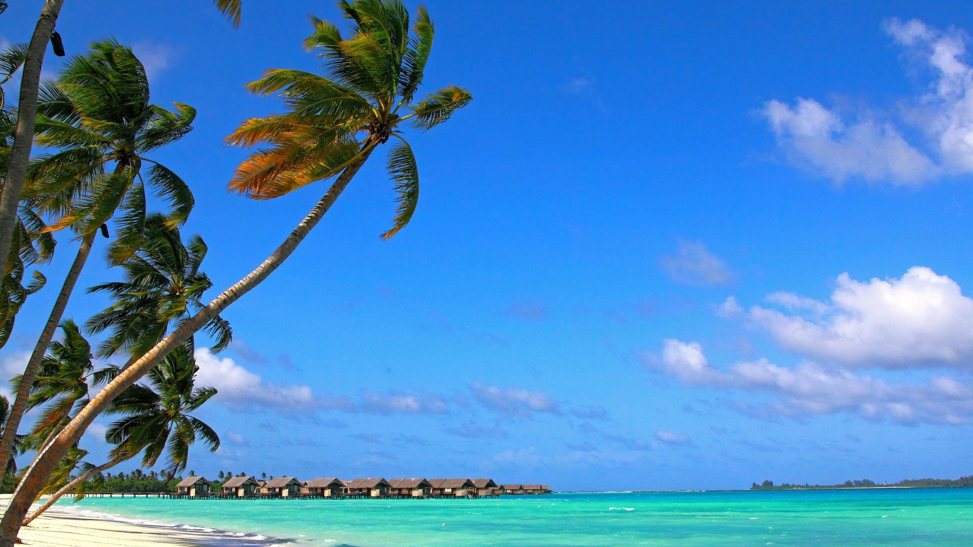 Maldive, Palme, Cielo azzurro, Spiaggia, 1920x1080, sfondo per PC
