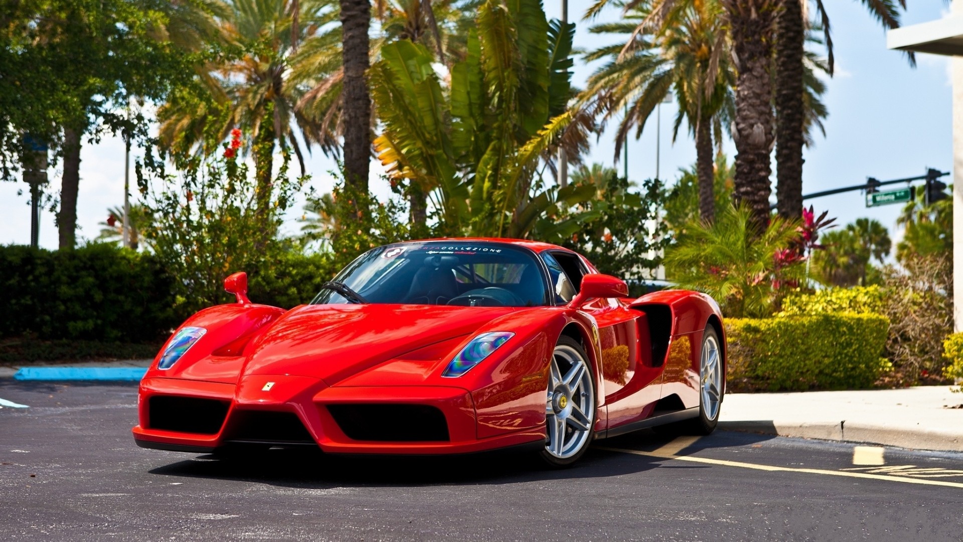 Ferrari Enzo, Ferrari, Palme, Hypercar, 16:9 Full HD, sfondo widescreen