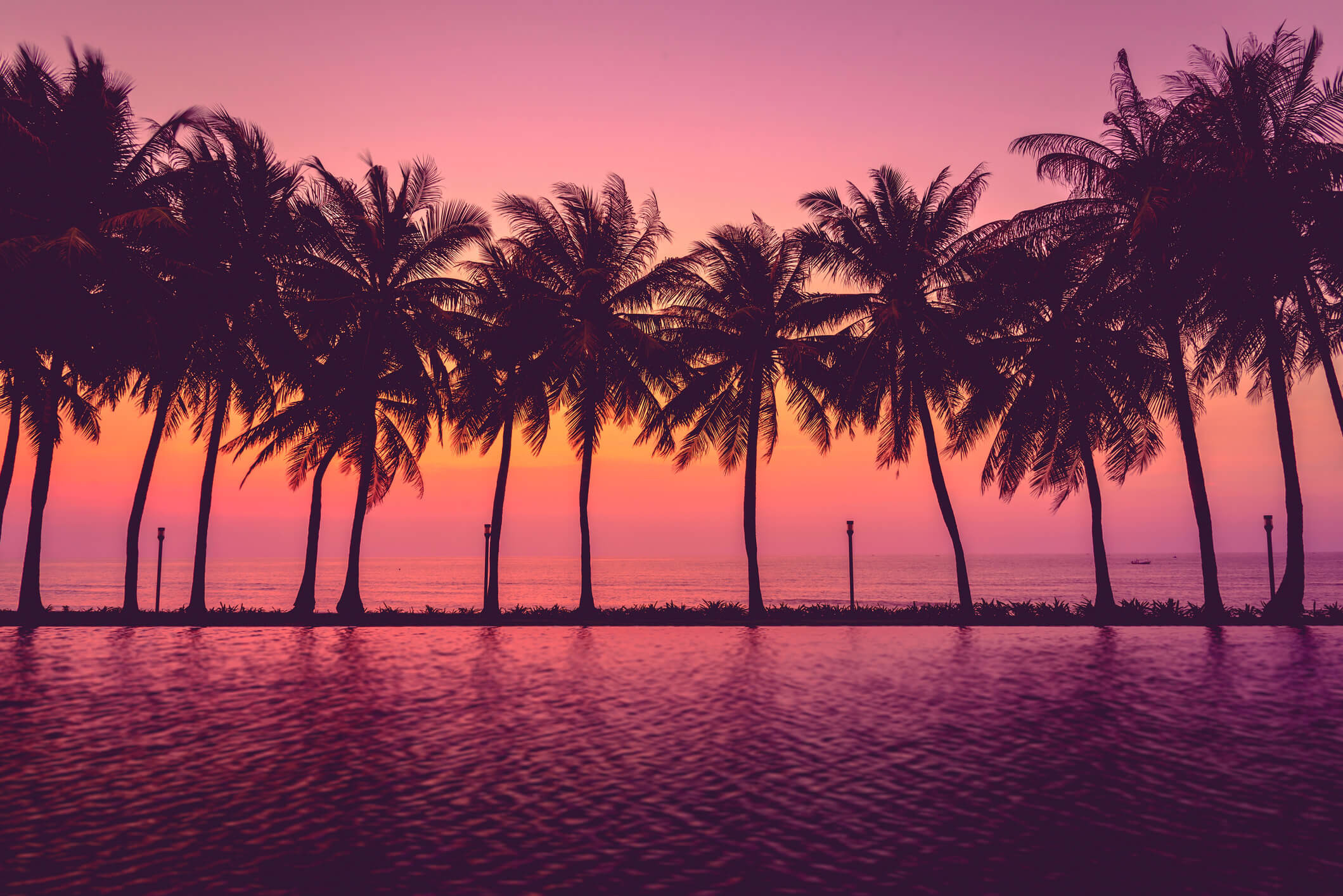 Palme, Tramonto, Silhouette, Cielo rosa, sfondo Full HD per desktop