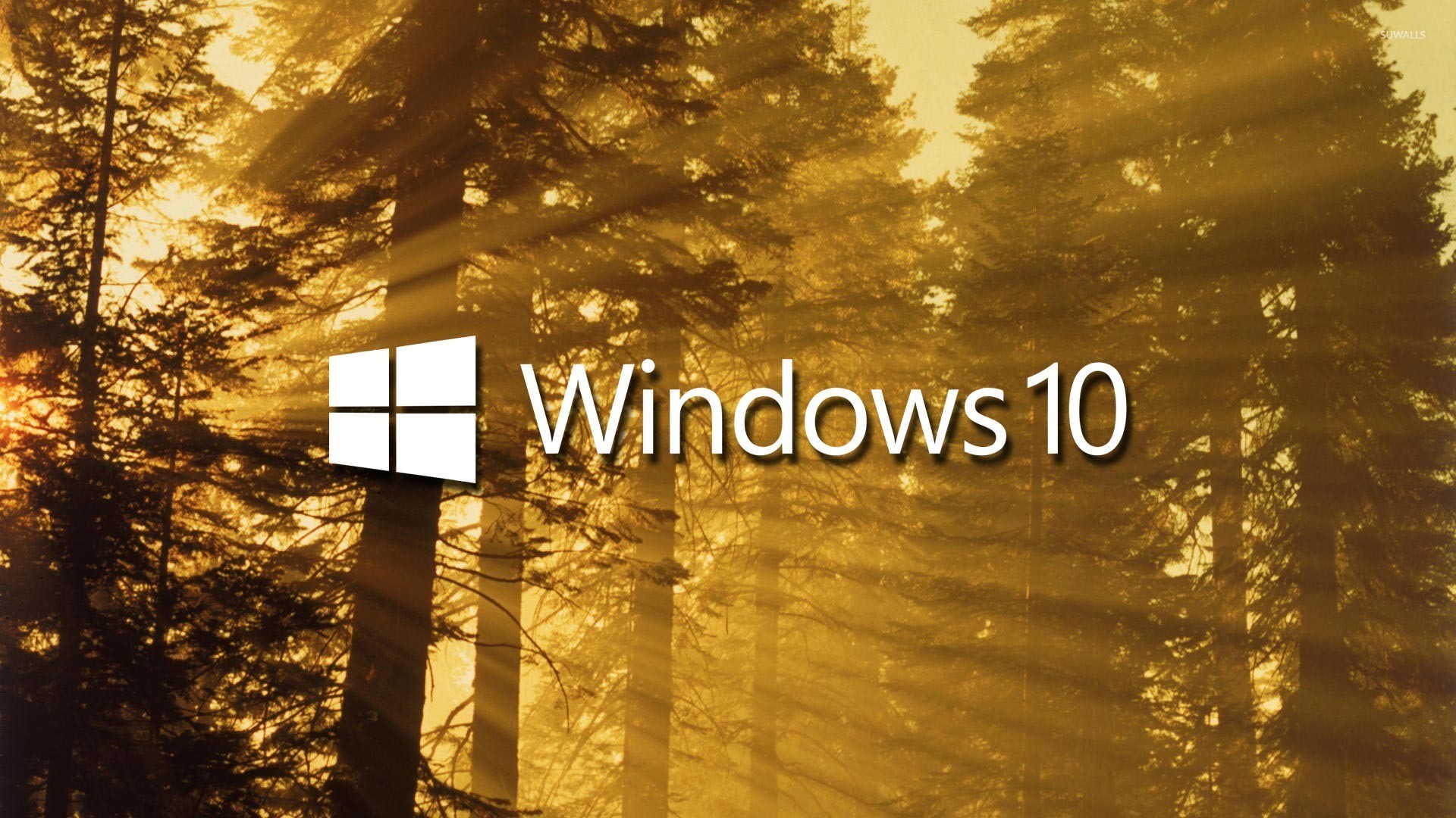 Windows 10, Logo Windows, Foresta, Raggi di sole, Full HD, sfondo per PC