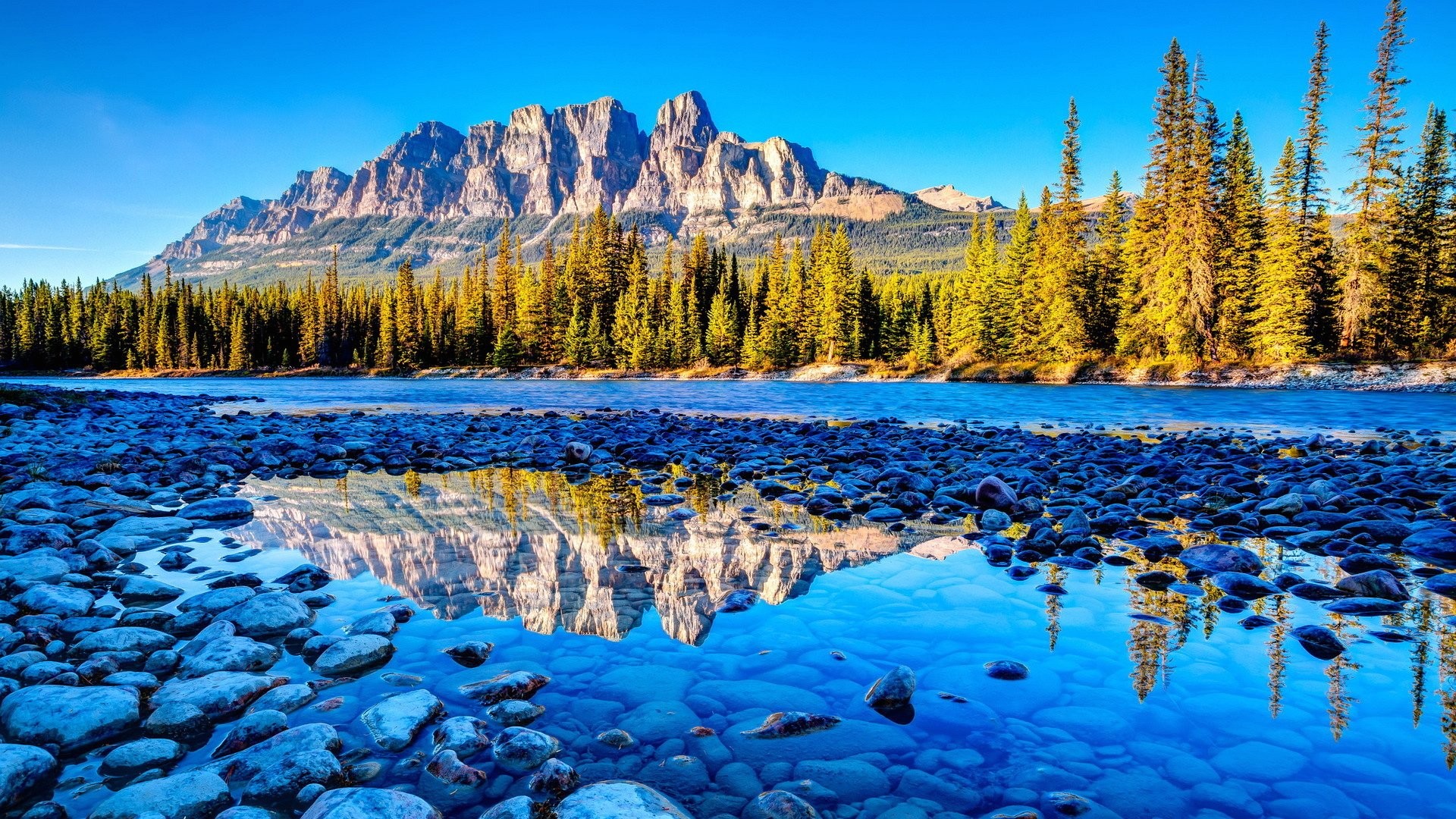 Castle Mountain, Parco nazionale di Banff, Canada, Lago, Pini, Riflesso, sfondo per desktop