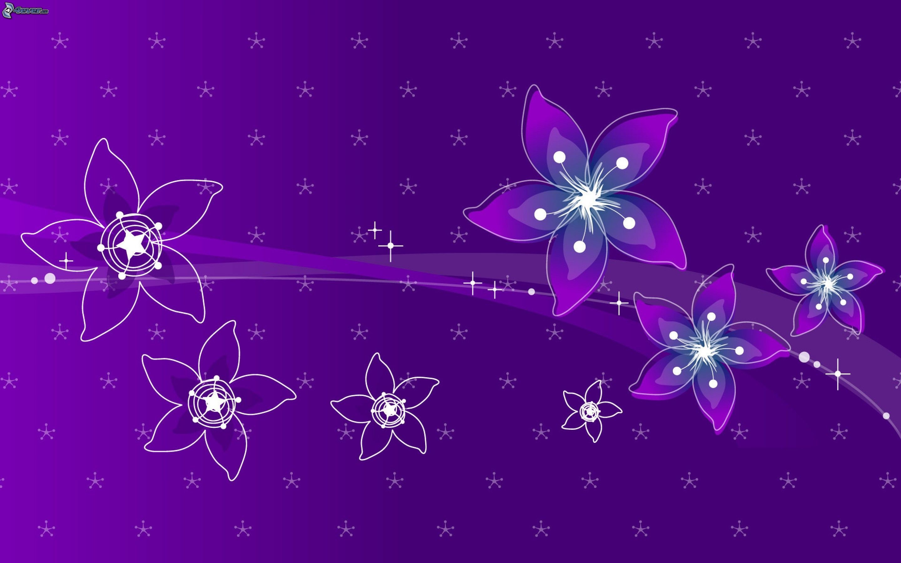 Fiori stilizzati, Stelle, Viola, Disegno, 16:10 2K, sfondo widescreen