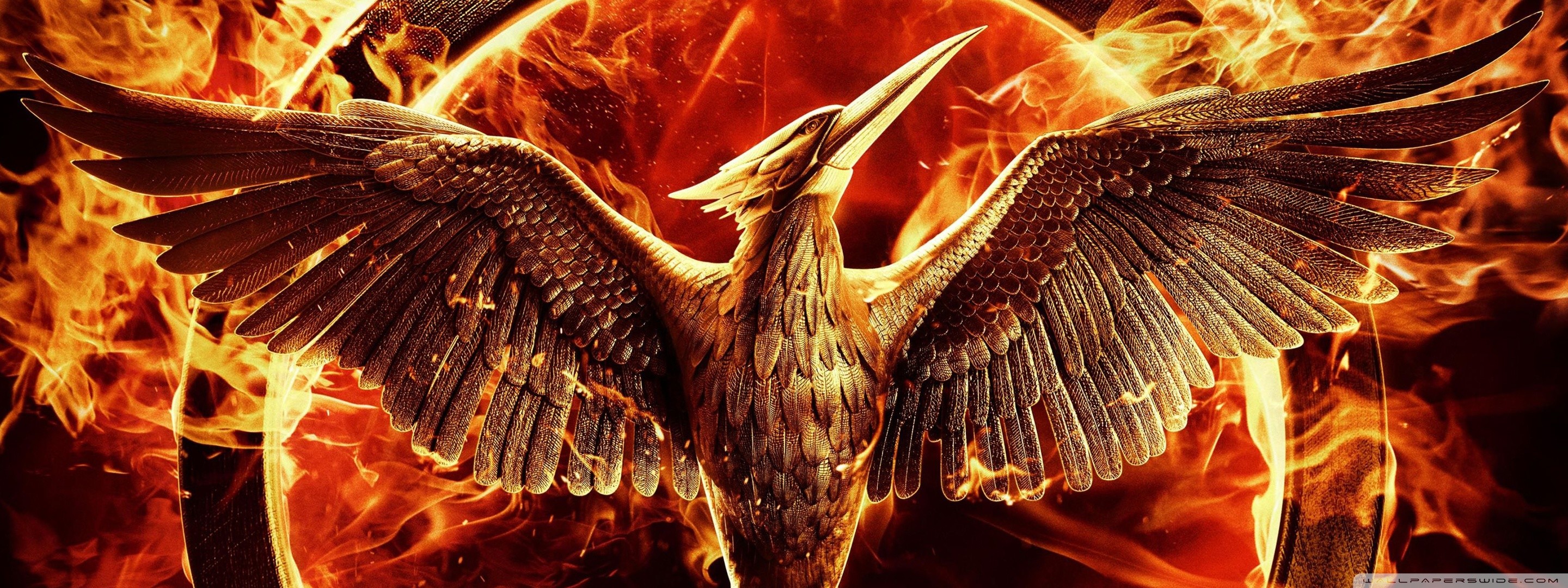Hunger Games: Il canto della rivolta, Ghiandaia imitatrice, Fuoco, sfondo 2K per computer