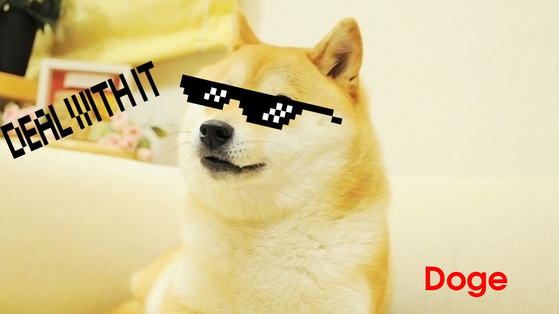 Doge, Deal With It, Occhiali pixel, Meme, 1920x1080, sfondo per PC