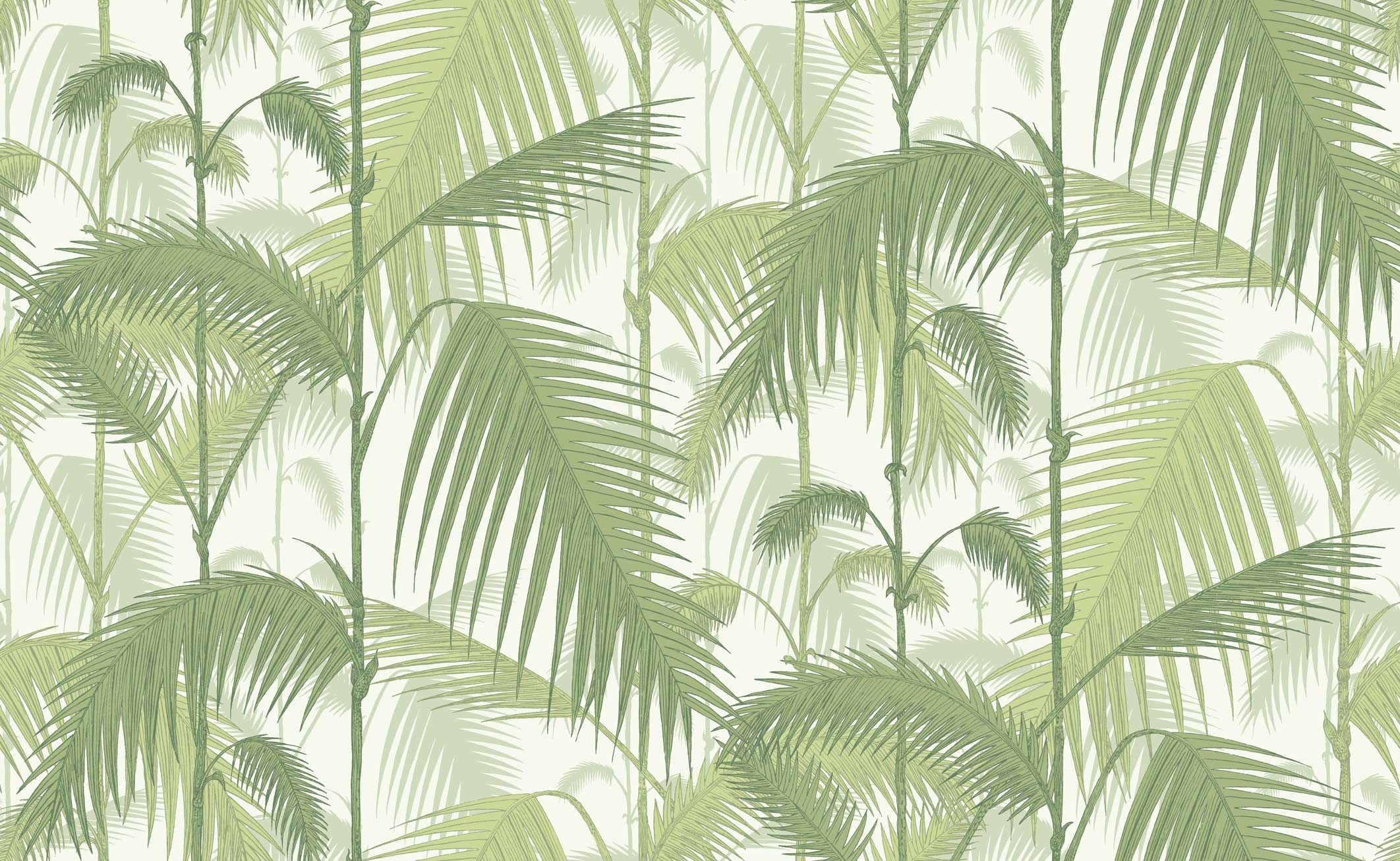 Foglie di palma, Motivo, Carta da parati, Verde chiaro, Full HD, wallpaper desktop