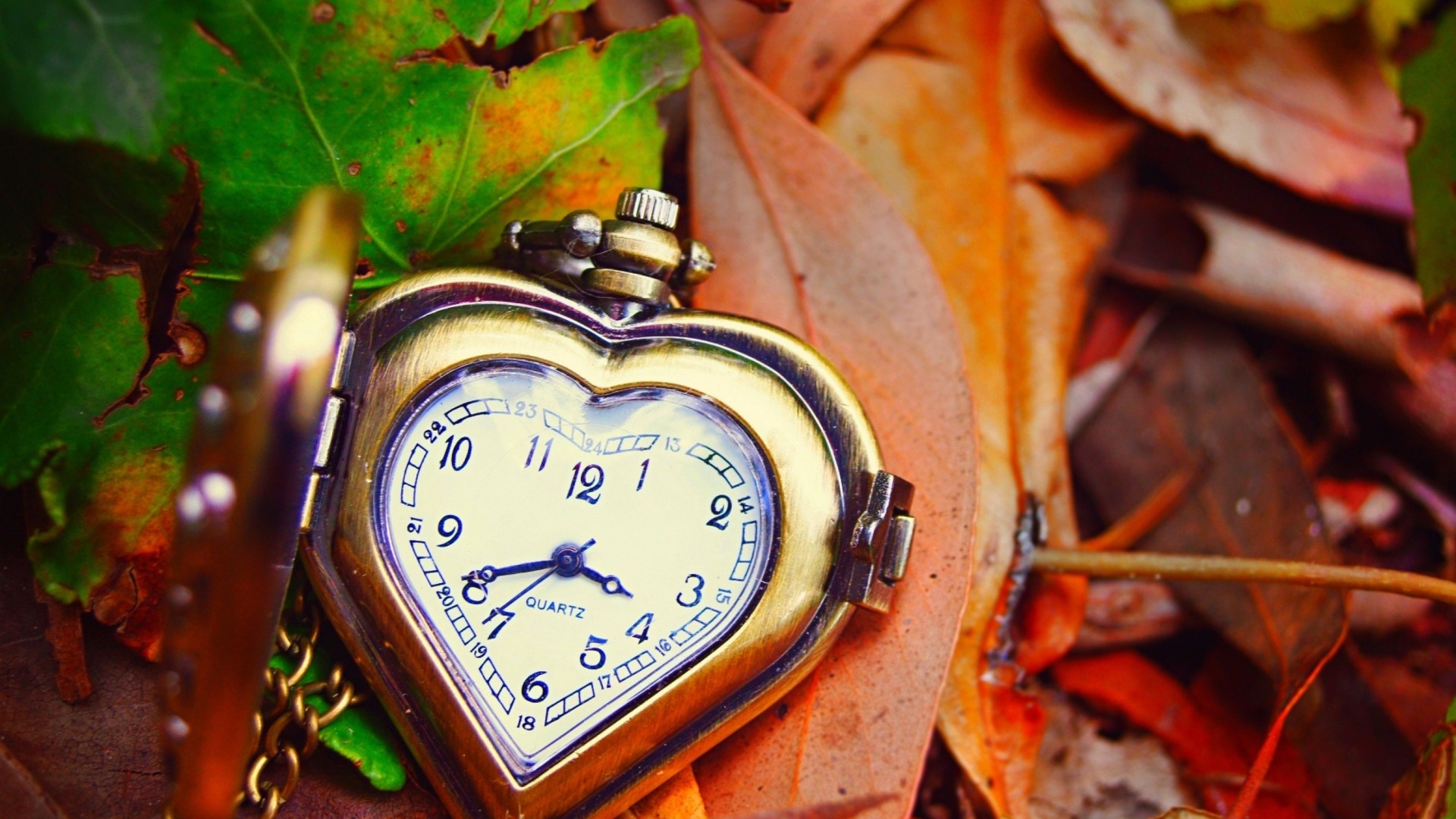 Orologio a cuore, Orologio da tasca, Foglie d'autunno, 1920x1080, sfondo per PC