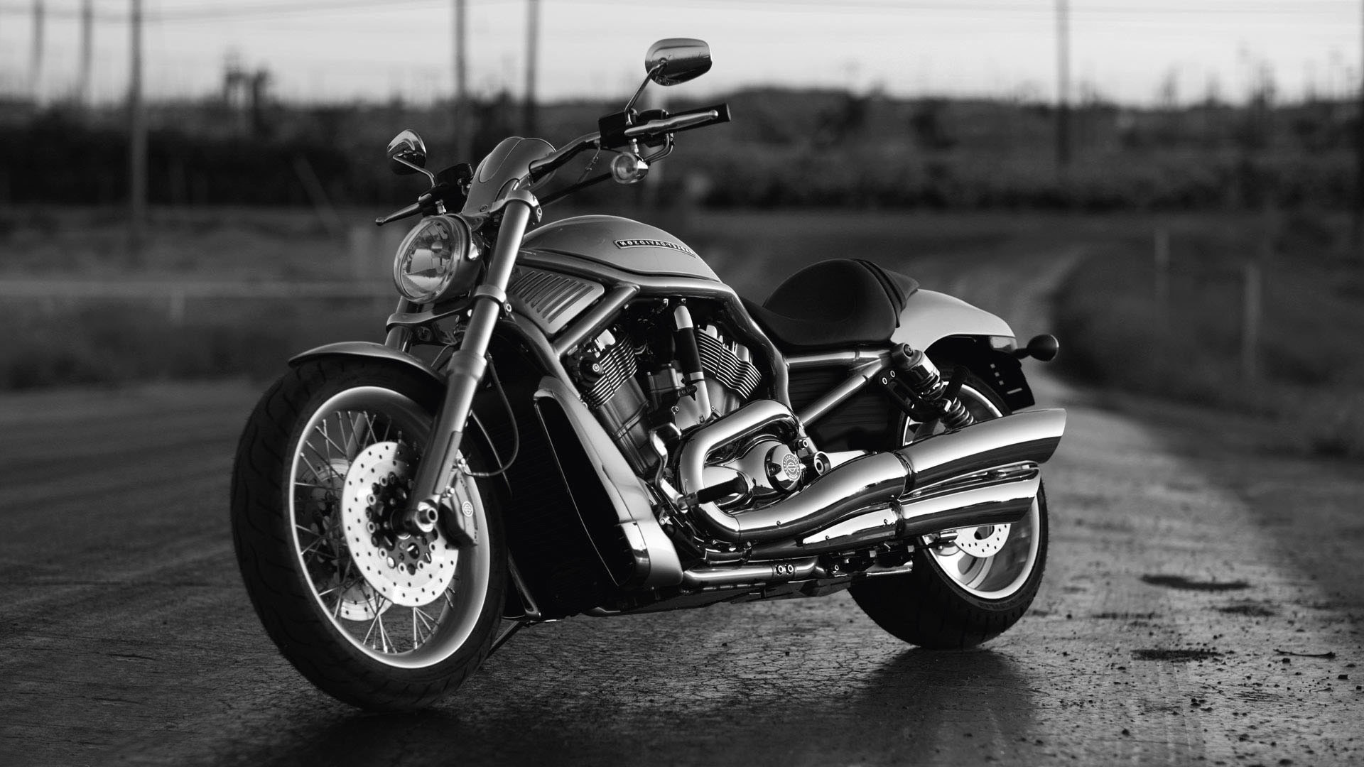 Harley-Davidson V-Rod, Harley-Davidson, Bianco e nero, Strada di campagna, Cruiser, immagine di sfondo