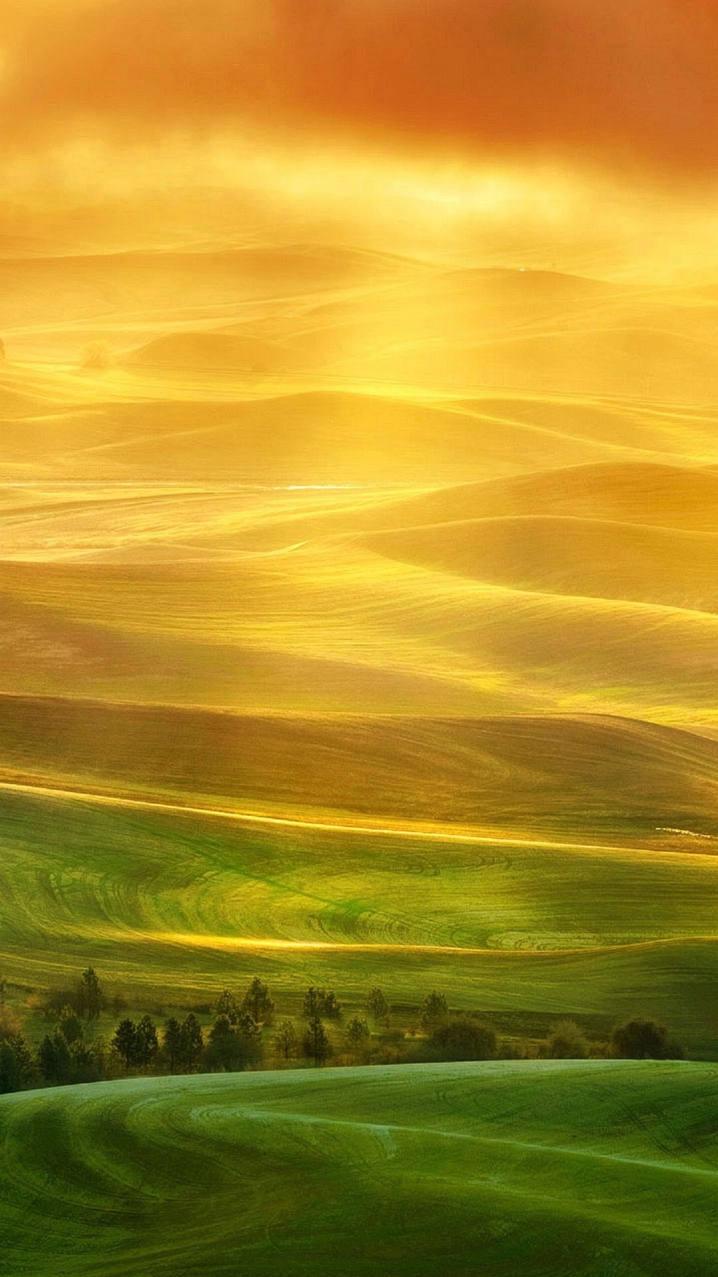 Colline, Luce dorata, Campi, Nebbia, QHD+, sfondo verticale per cellulare