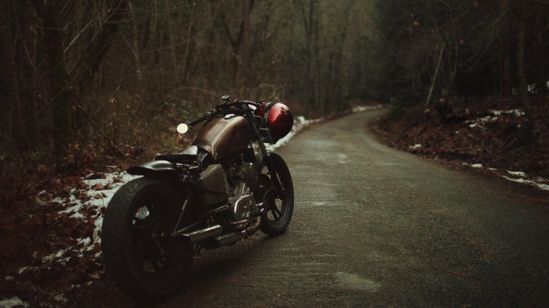 Harley-Davidson, Strada nel bosco, Moto custom, Autunno, Atmosfera cupa, sfondo Full HD per computer