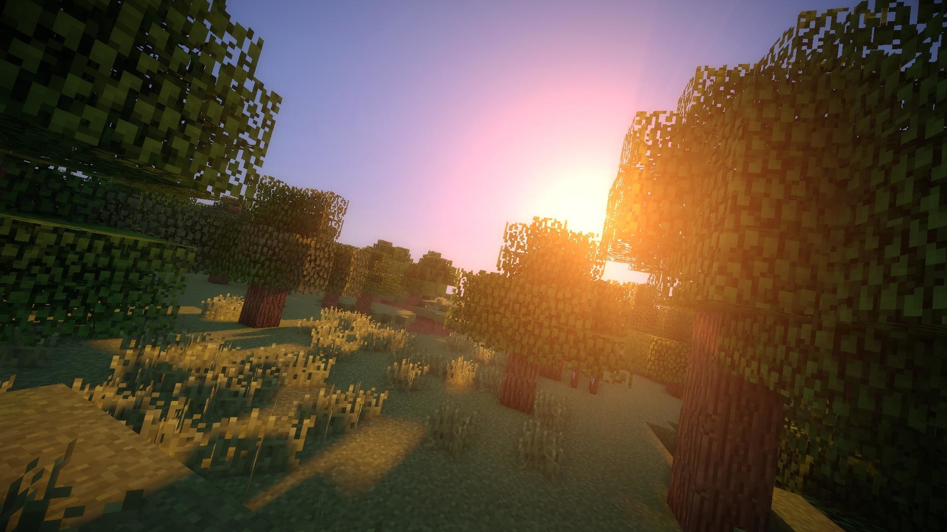 Minecraft, Tramonto, Foresta, Shader, Full HD, sfondo per portatile
