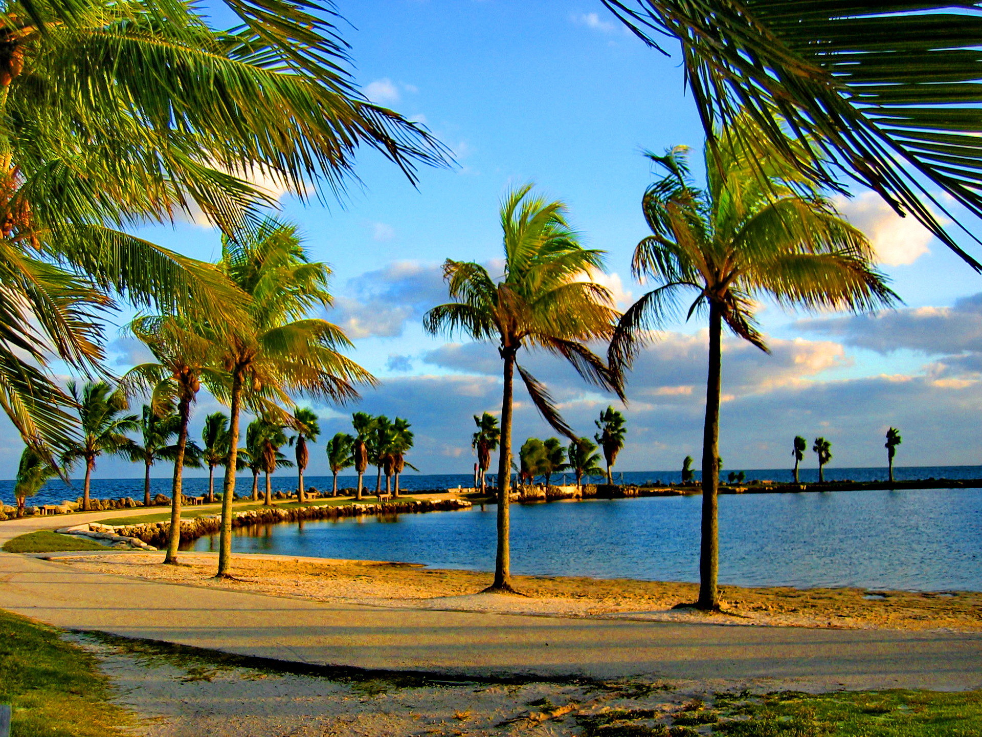 Miami, Palme, Spiaggia, Full HD, sfondo per iPad e tablet