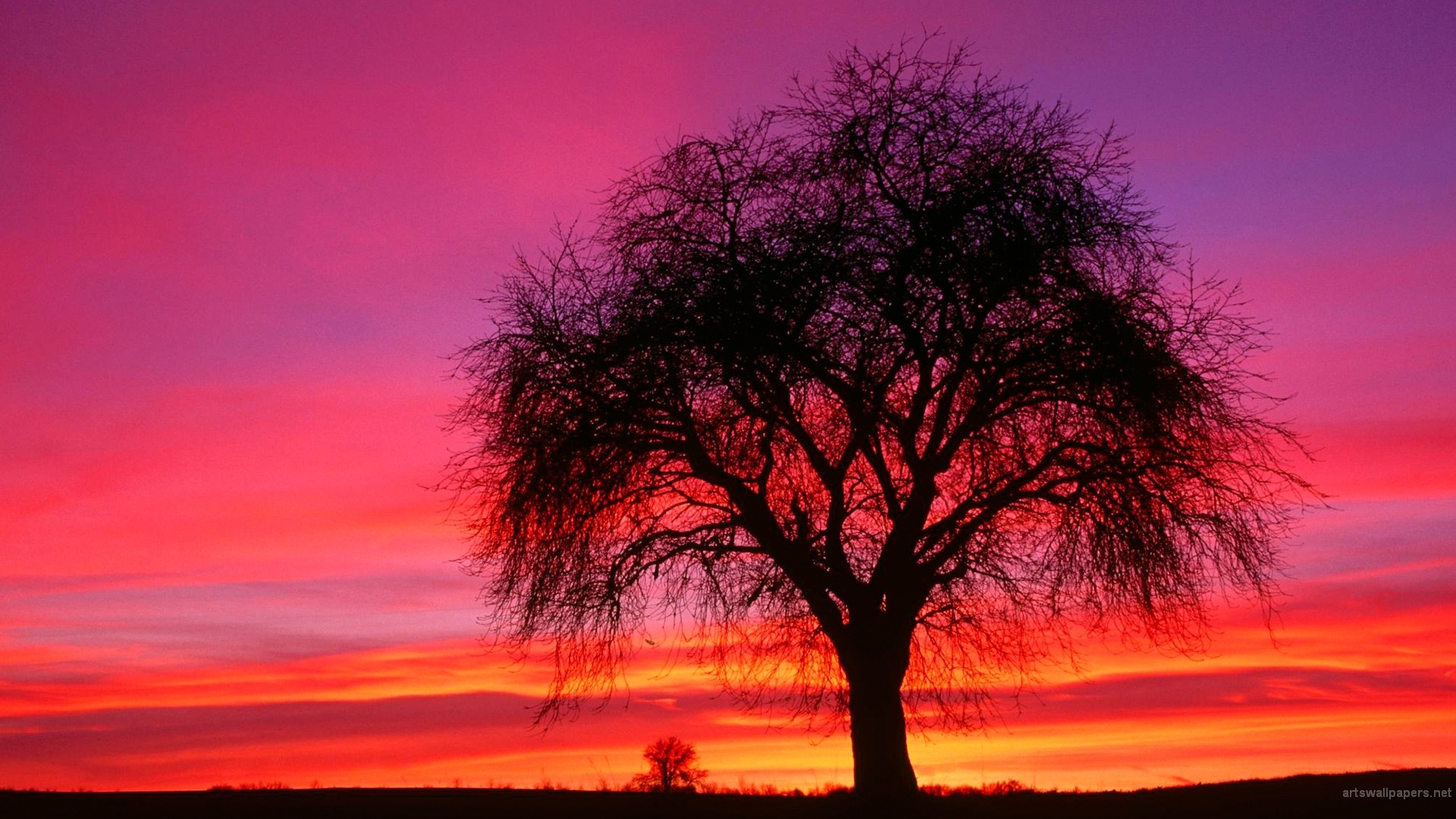 Albero, Silhouette, Tramonto, Cielo rosso, Full HD, sfondo per PC e portatile