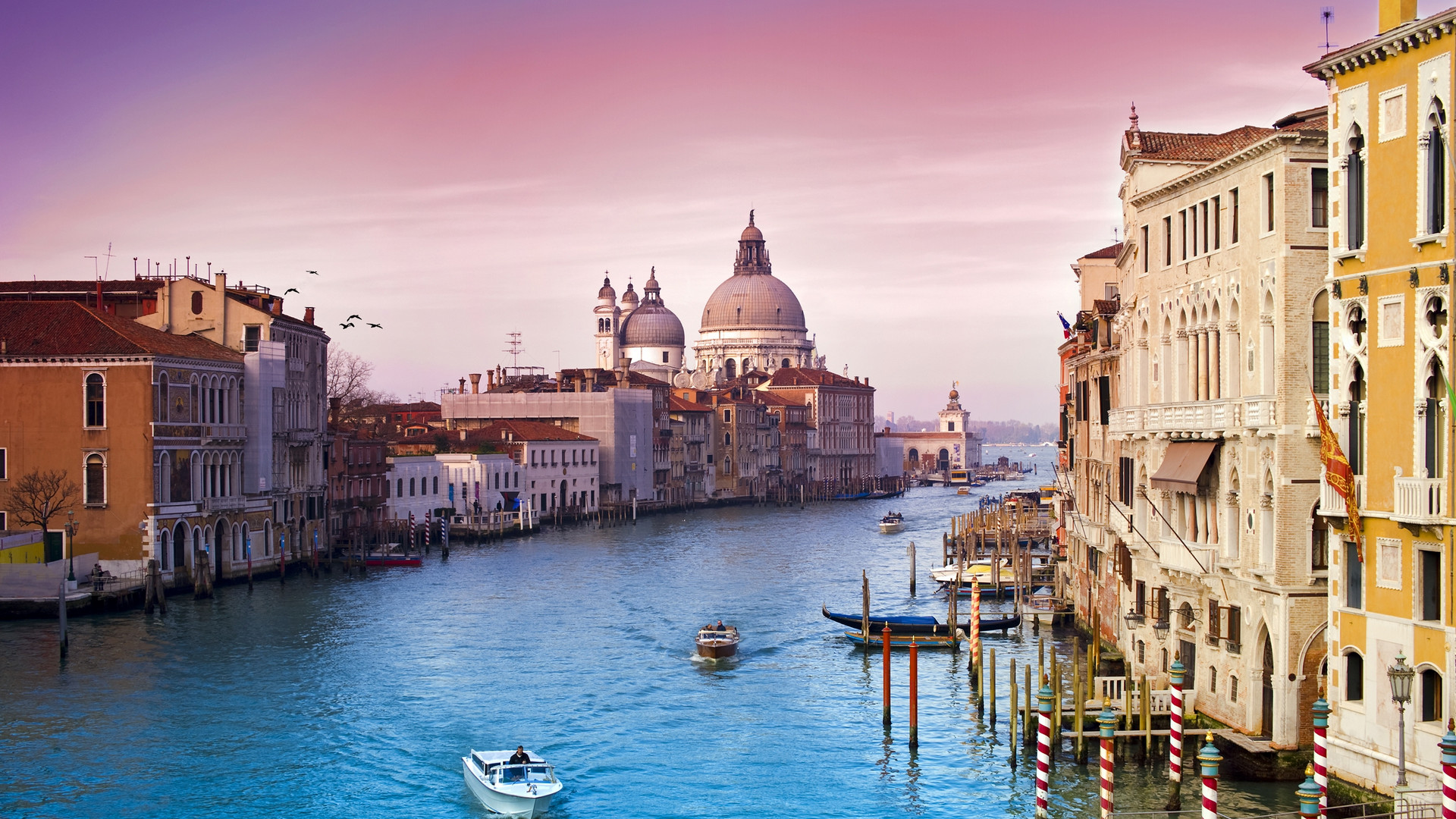 Canal Grande, Santa Maria della Salute, Venezia, Italia, Gondole, sfondo desktop 1080p