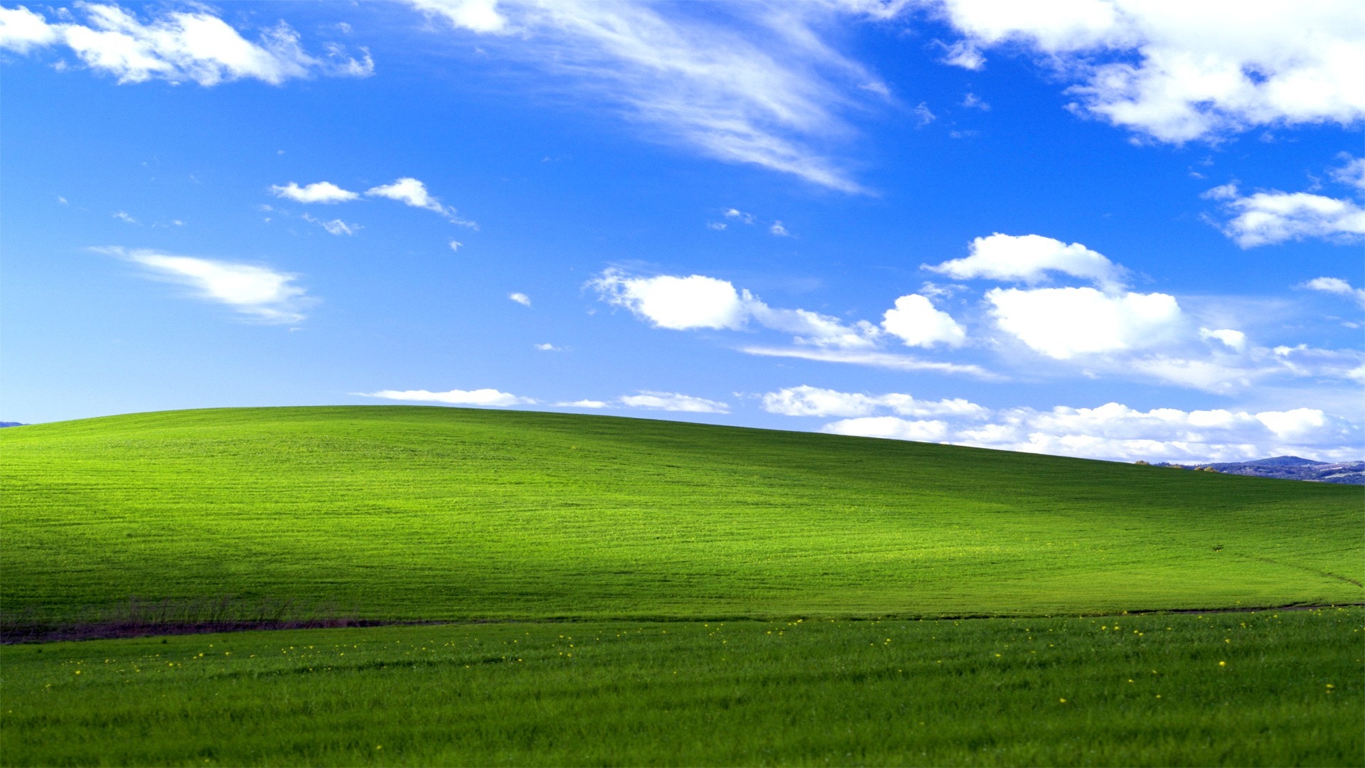 Bliss, Windows XP, Collina verde, Cielo azzurro, 16:9 Full HD, sfondo widescreen