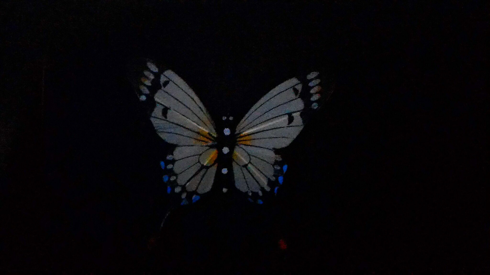 ASUS New ZenFone 2 Shows Off Some Camera Samples In Low Light, Full HD 1080p, sfondo desktop