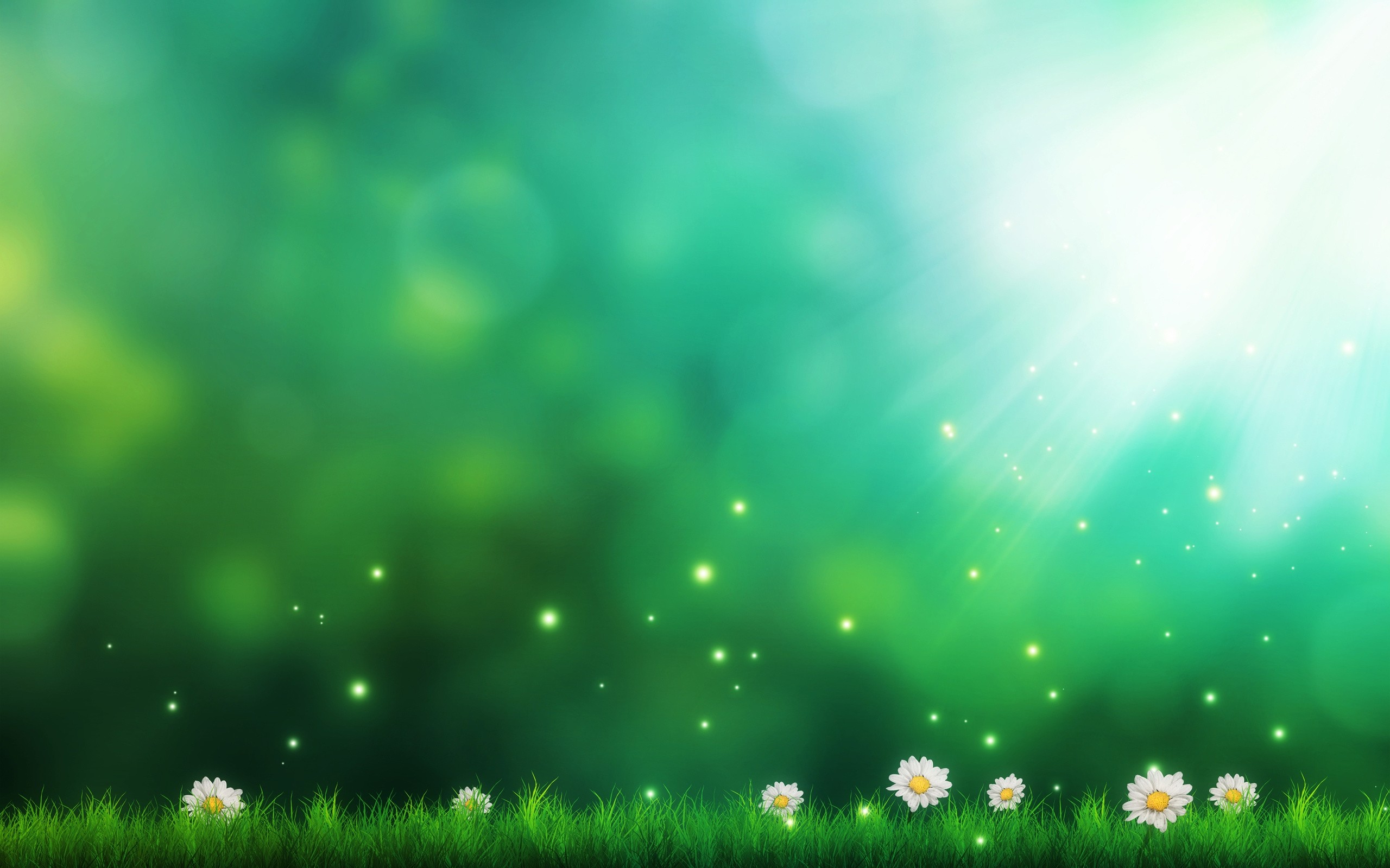 Erba, Margherite, Bokeh, Verde, 2K, wallpaper per computer