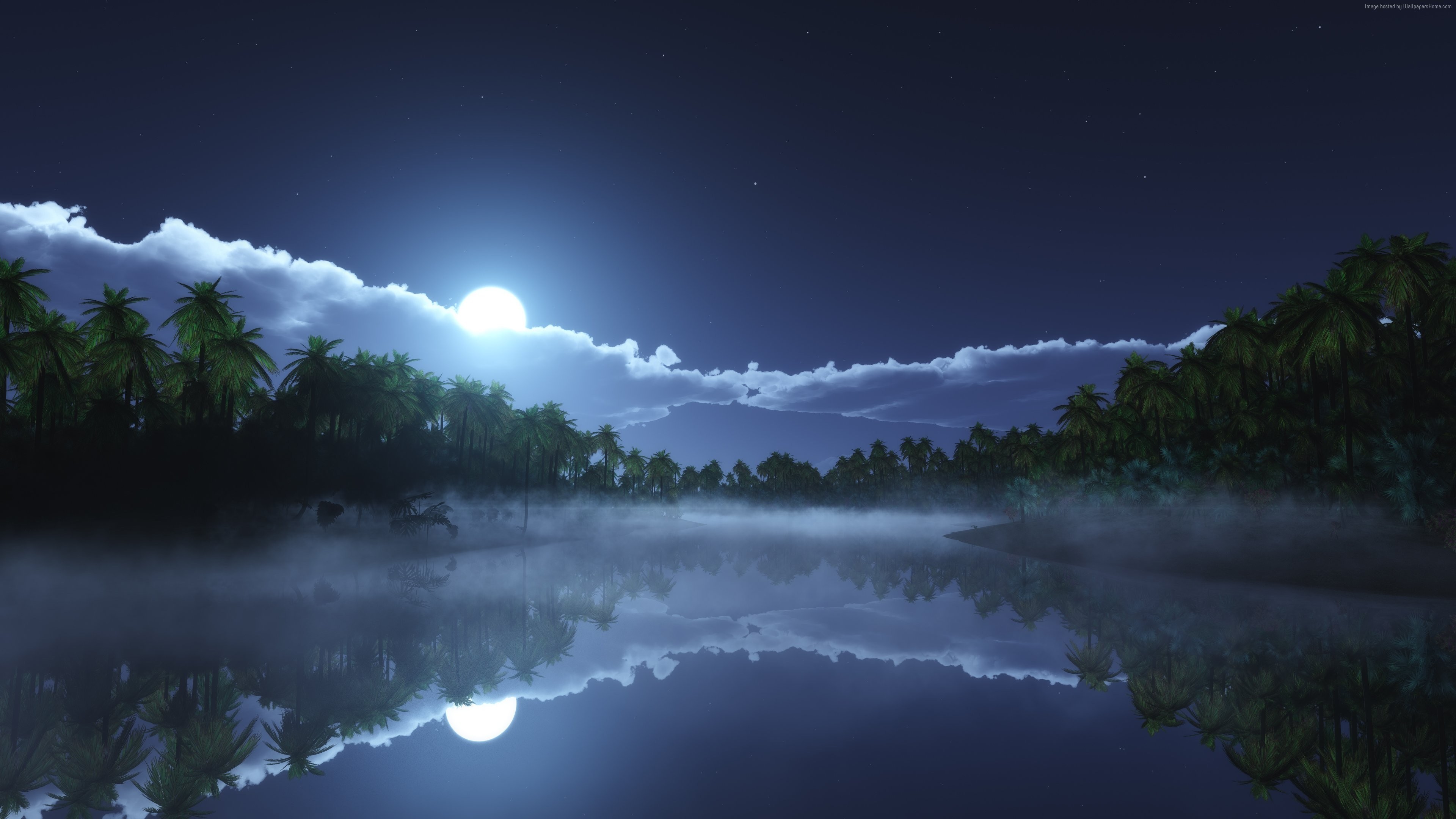 Luna piena, Palme, Lago, Riflesso, Notte, 4K, sfondo per portatile
