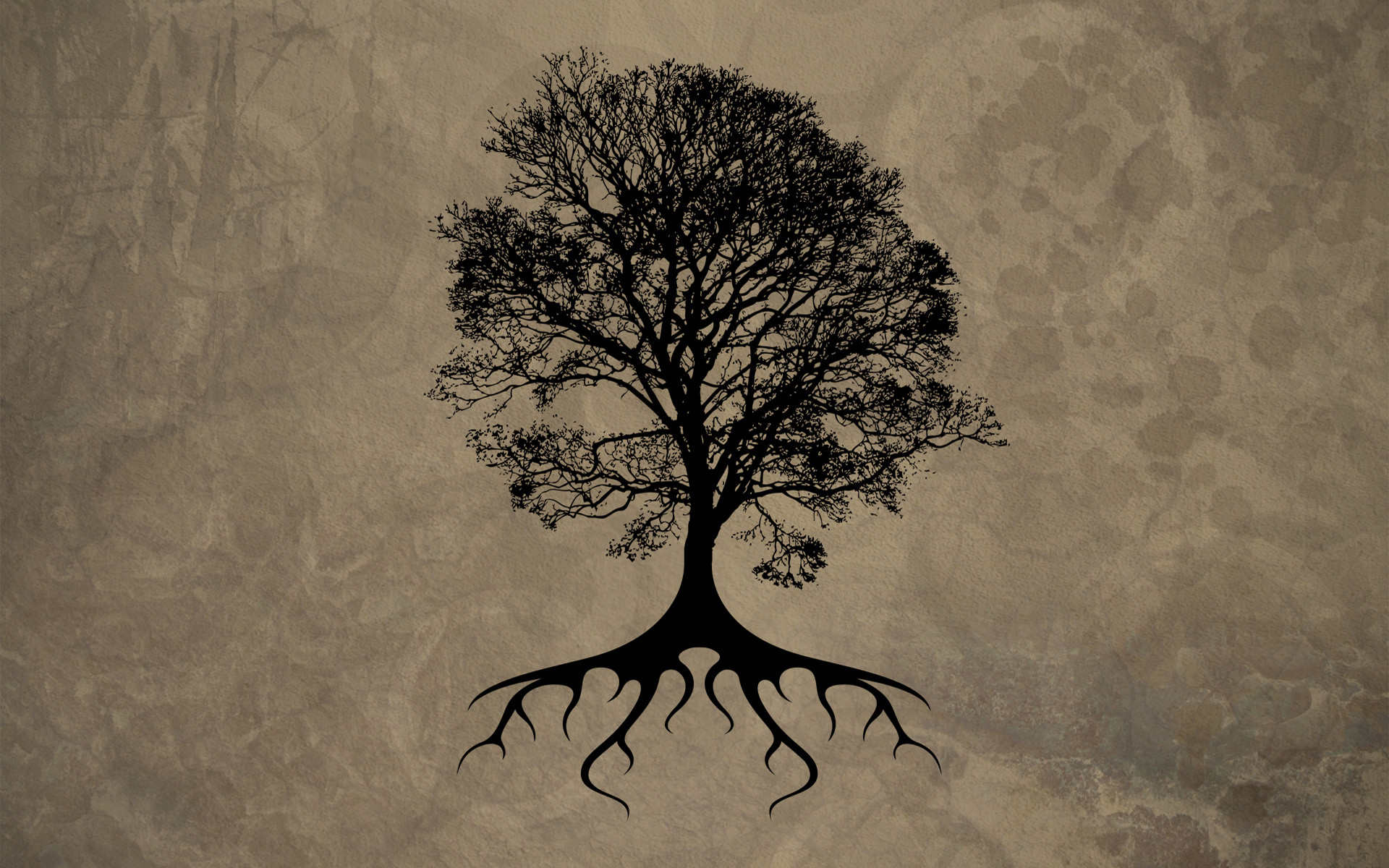 Albero della vita, Radici, Silhouette, Beige, 16:10 Full HD, wallpaper widescreen